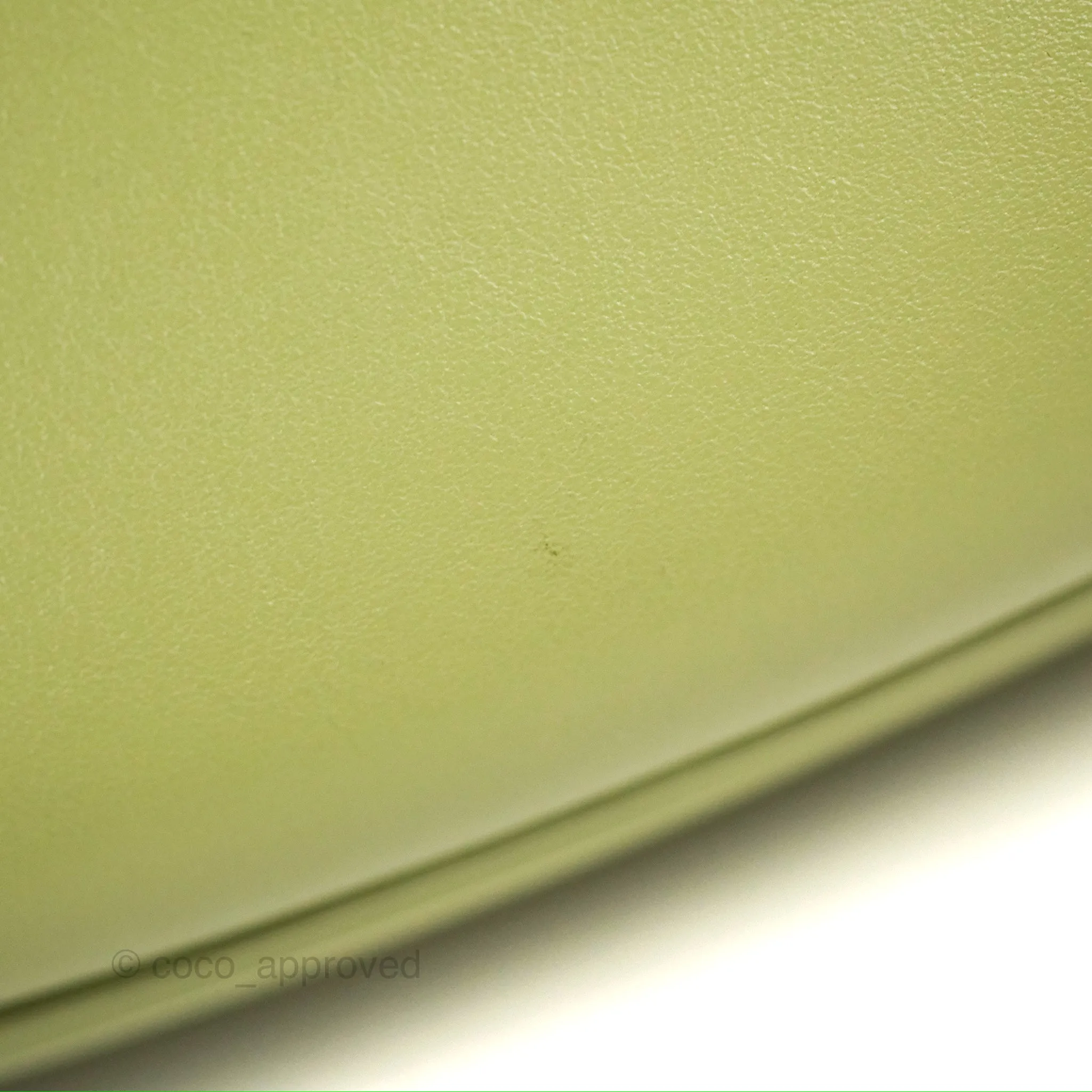 Celine Ava Bag Avocado Green Calfskin