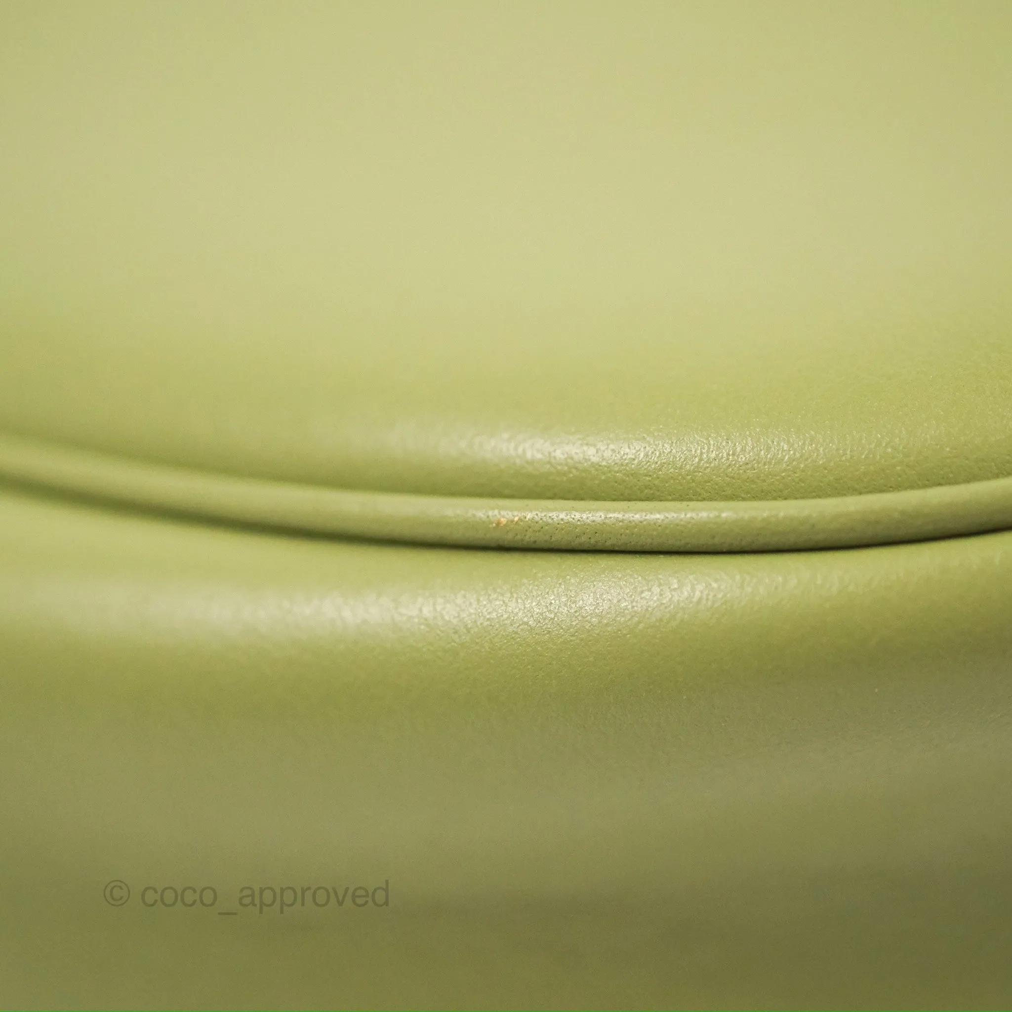 Celine Ava Bag Avocado Green Calfskin