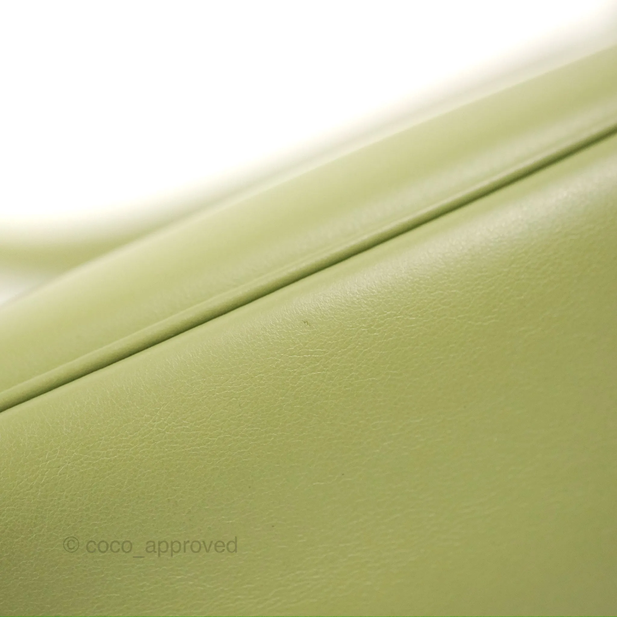 Celine Ava Bag Avocado Green Calfskin