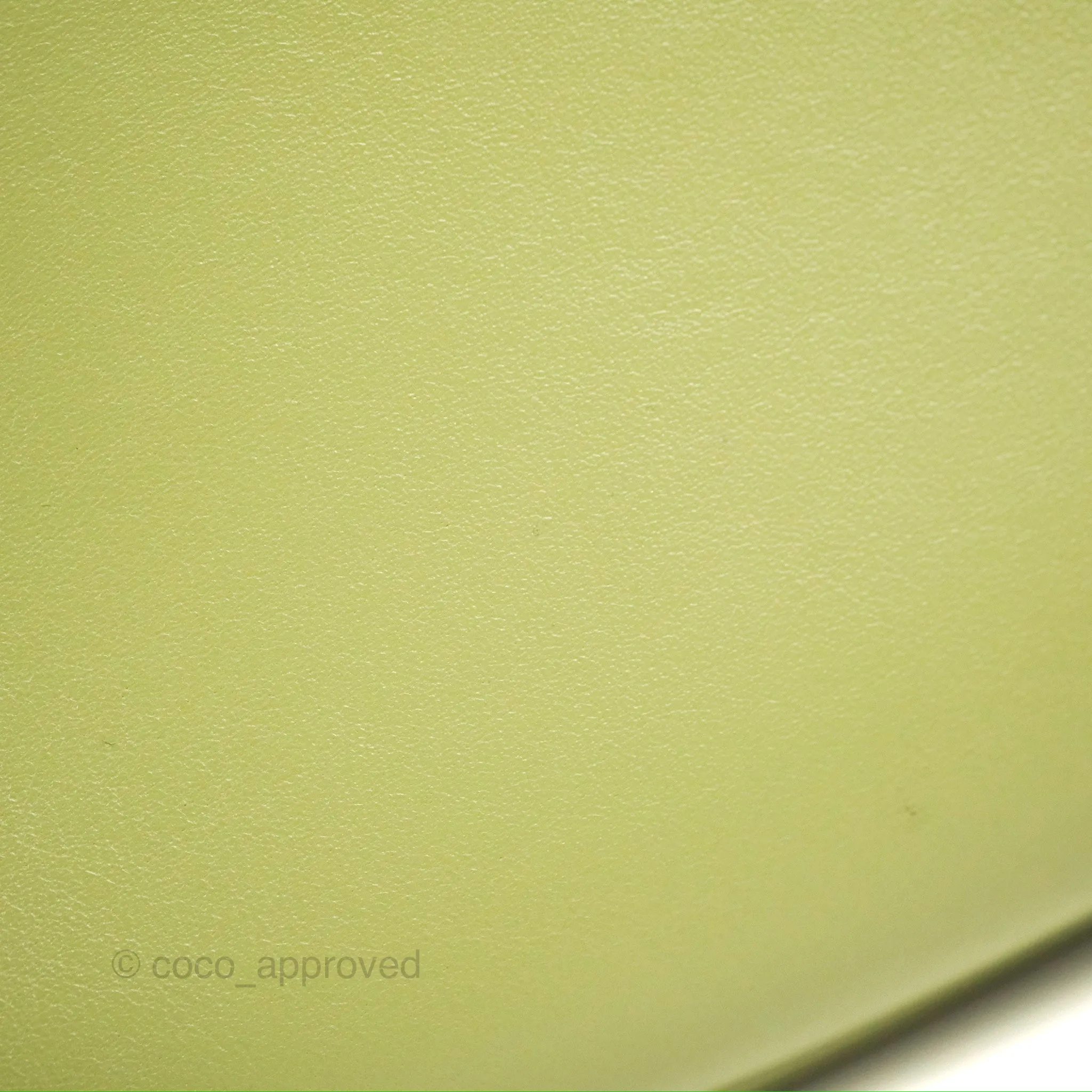 Celine Ava Bag Avocado Green Calfskin