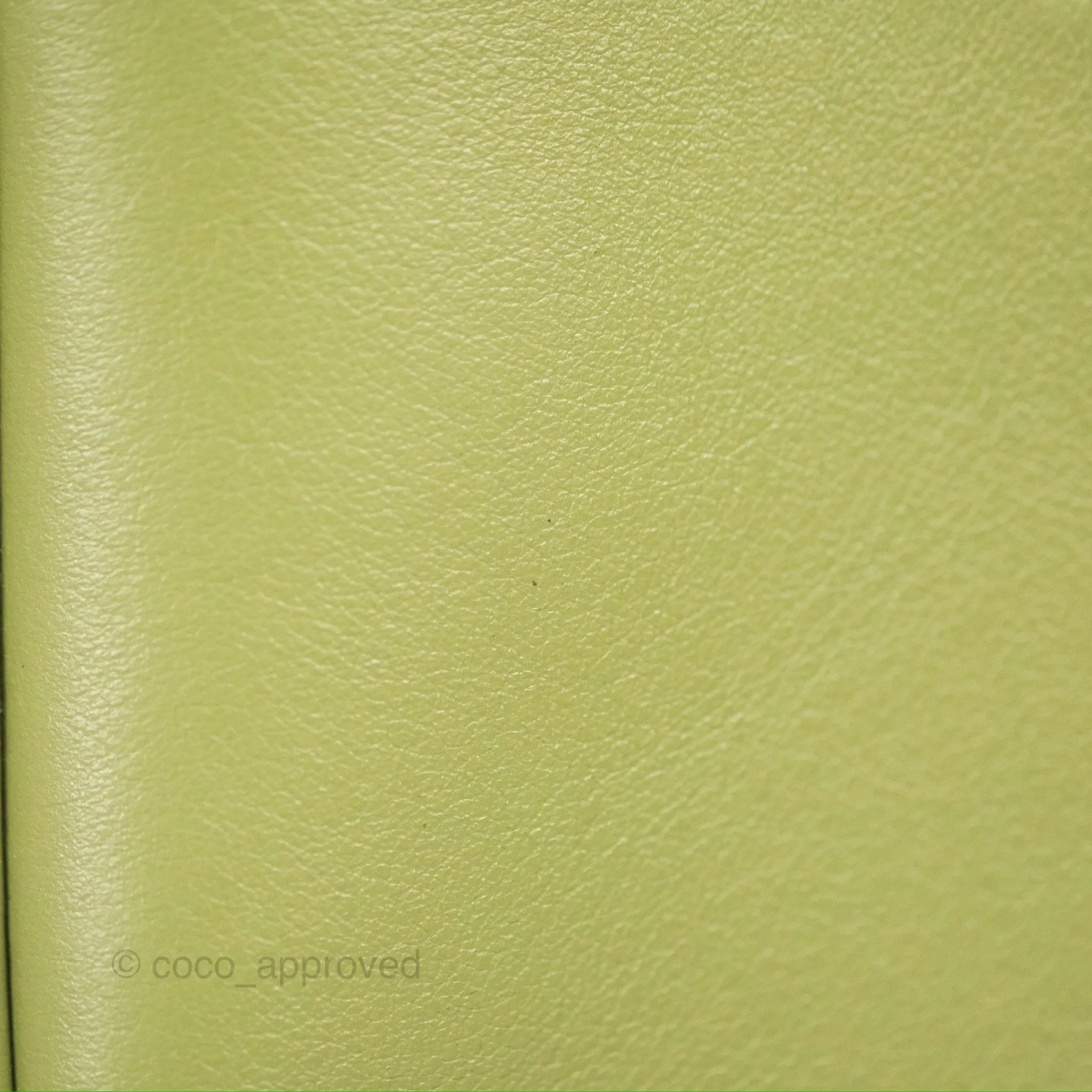 Celine Ava Bag Avocado Green Calfskin