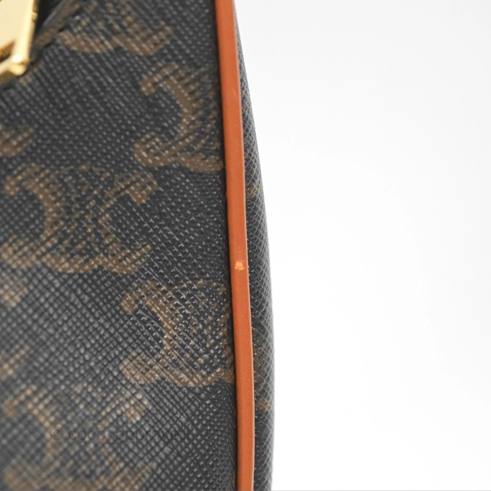Celine Ava Bag In Triomphe Canvas Calfskin Tan