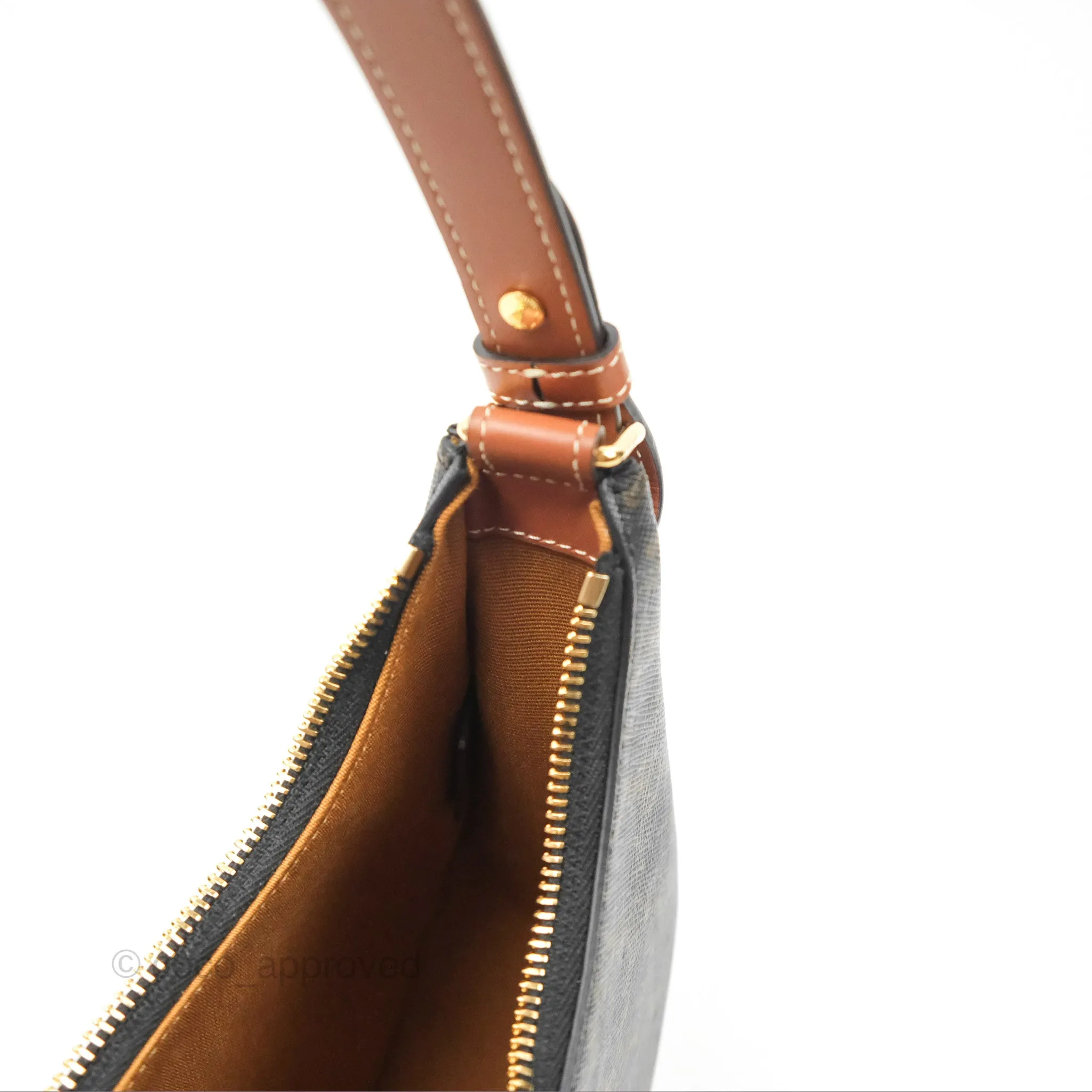 Celine Ava Bag In Triomphe Canvas Calfskin Tan