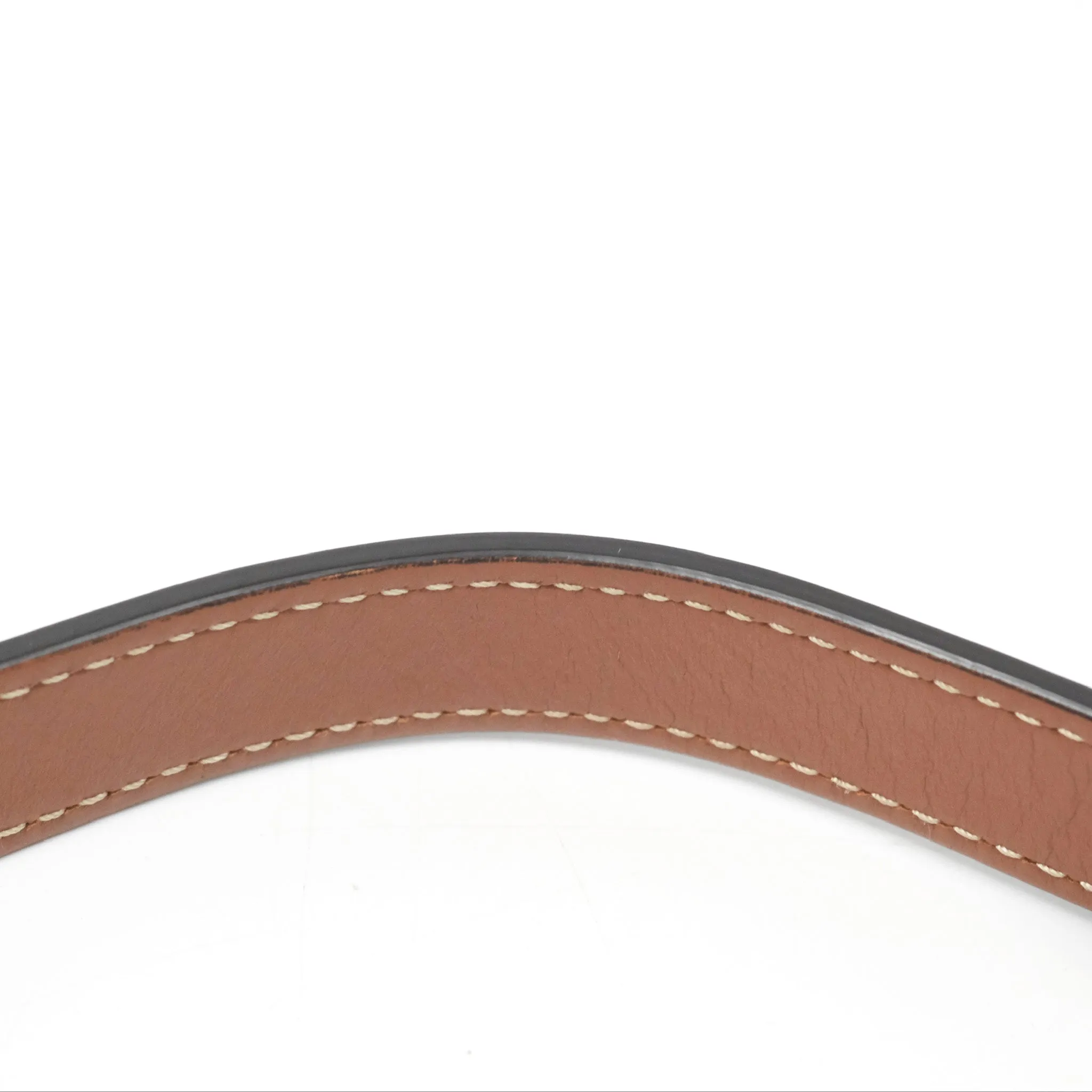 Celine Ava Bag In Triomphe Canvas Calfskin Tan