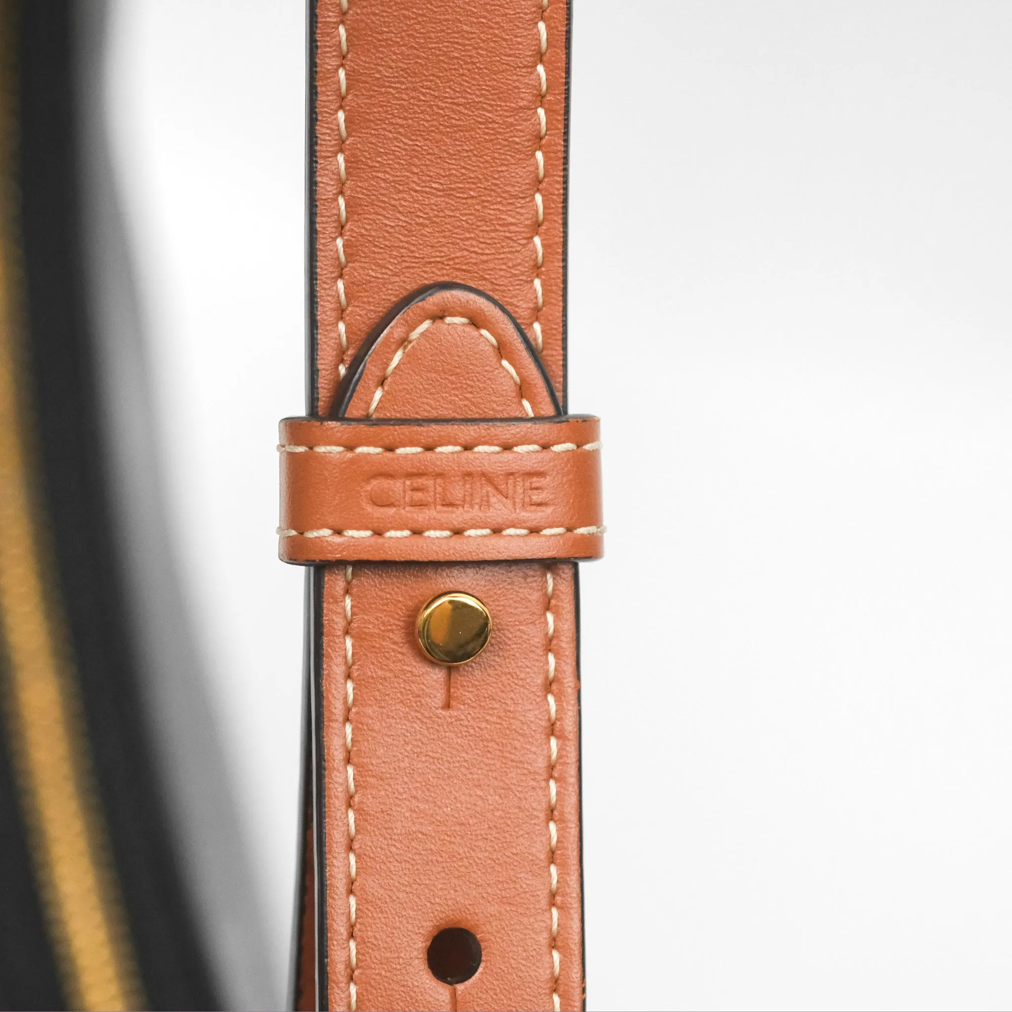 Celine Ava Bag In Triomphe Canvas Calfskin Tan