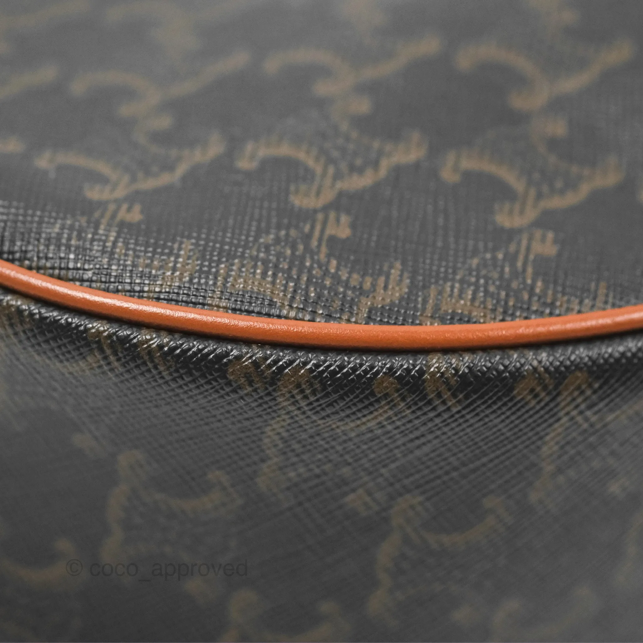 Celine Ava Bag In Triomphe Canvas Calfskin Tan