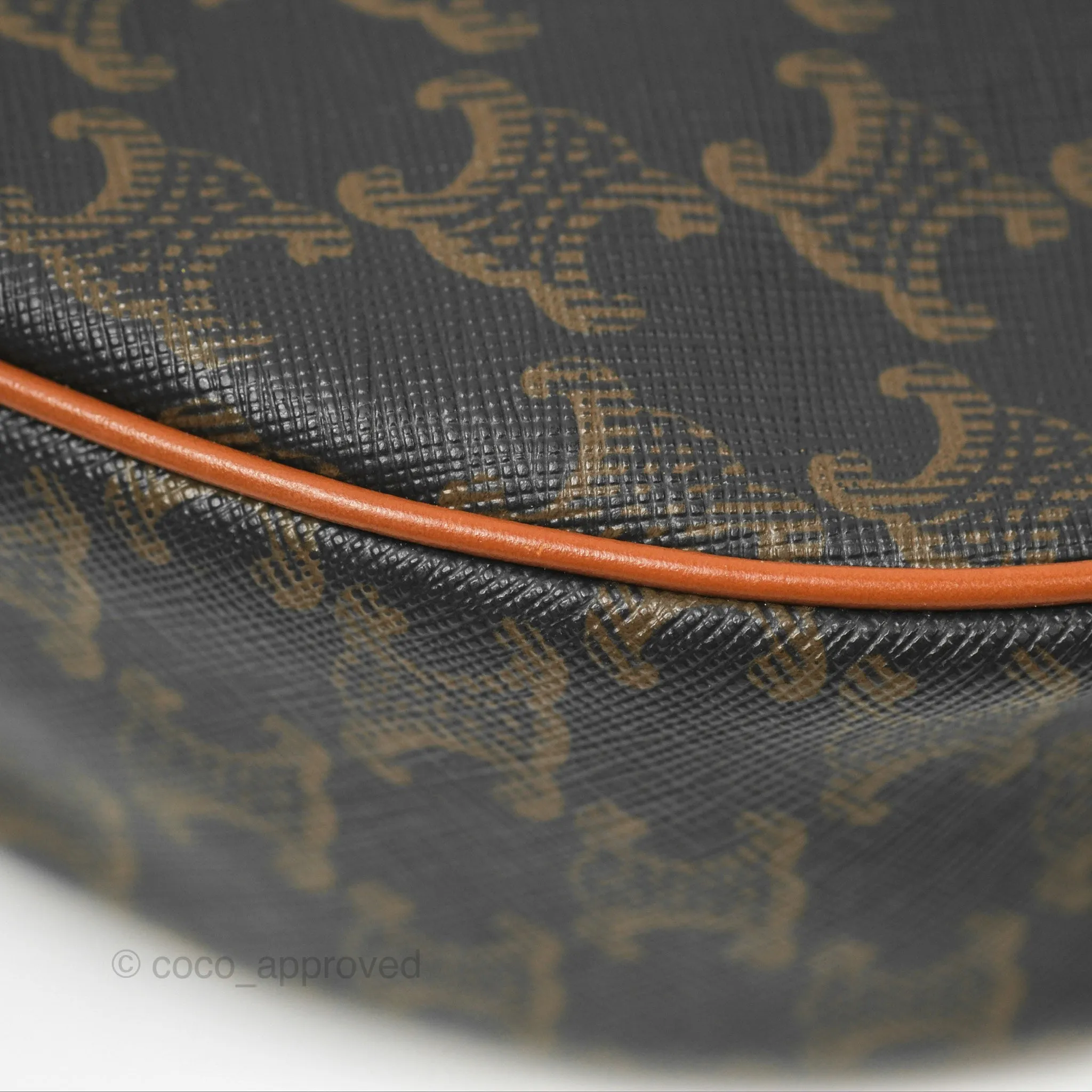 Celine Ava Bag In Triomphe Canvas Calfskin Tan