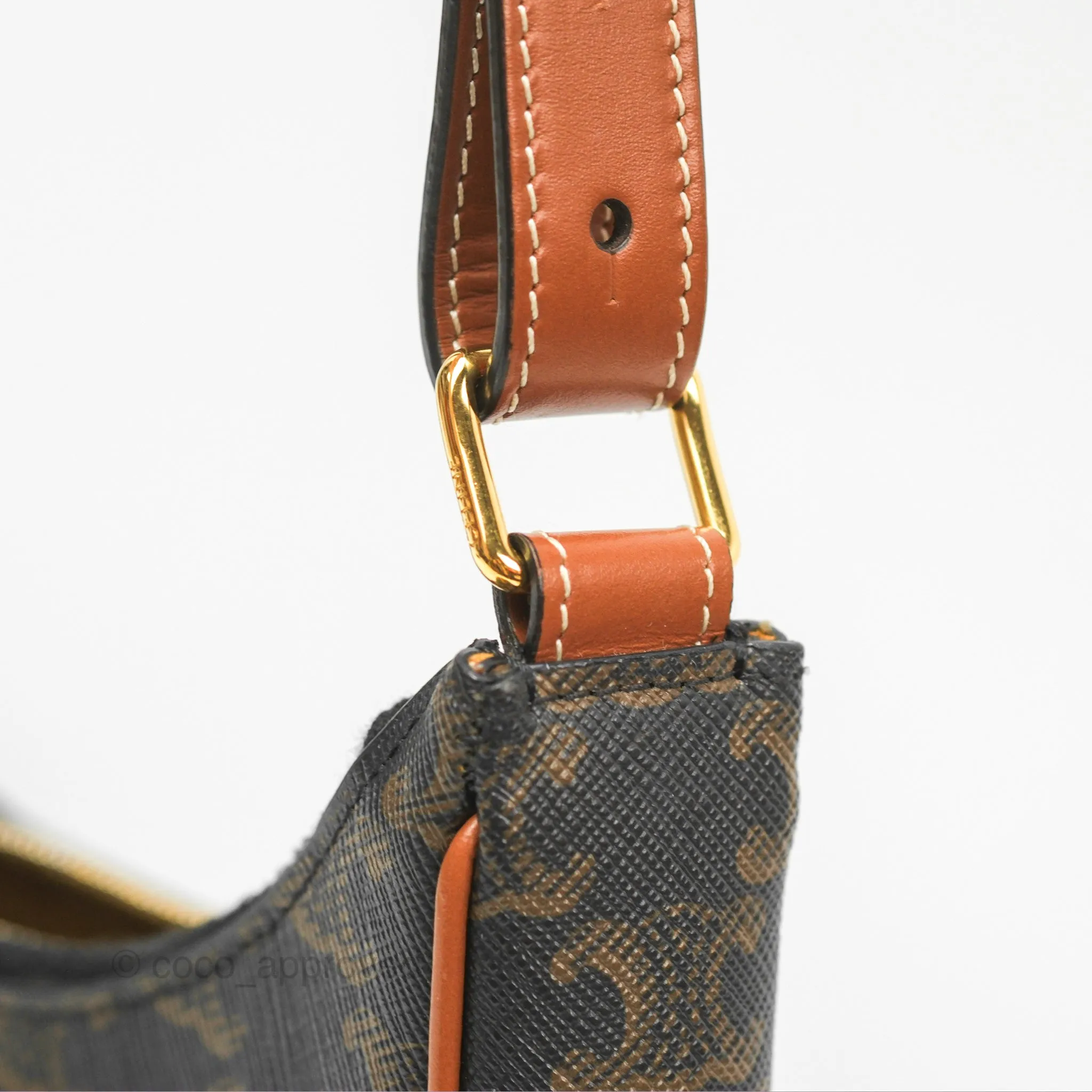 Celine Ava Bag In Triomphe Canvas Calfskin Tan