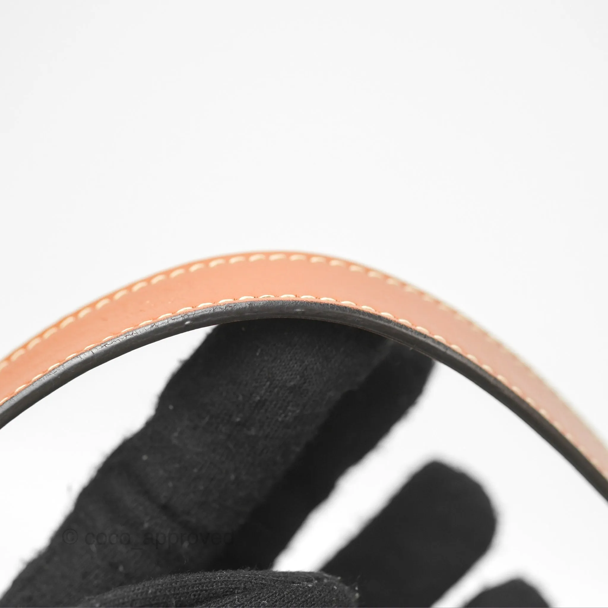 Celine Ava Bag In Triomphe Canvas Calfskin Tan