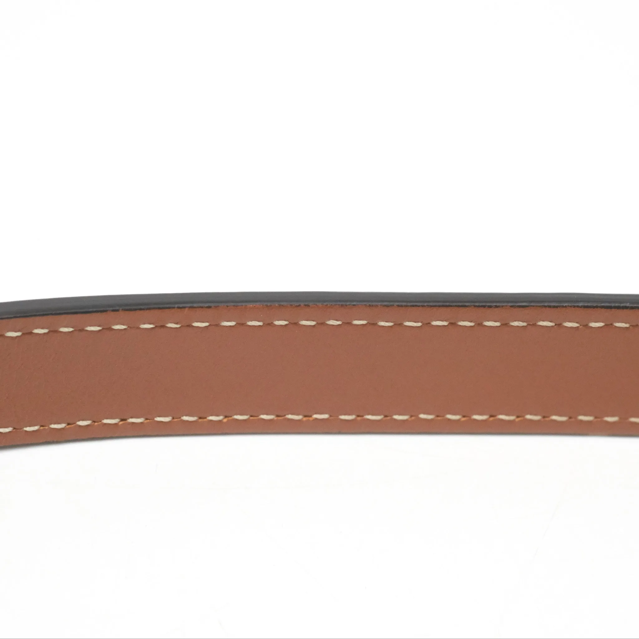 Celine Ava Bag In Triomphe Canvas Calfskin Tan
