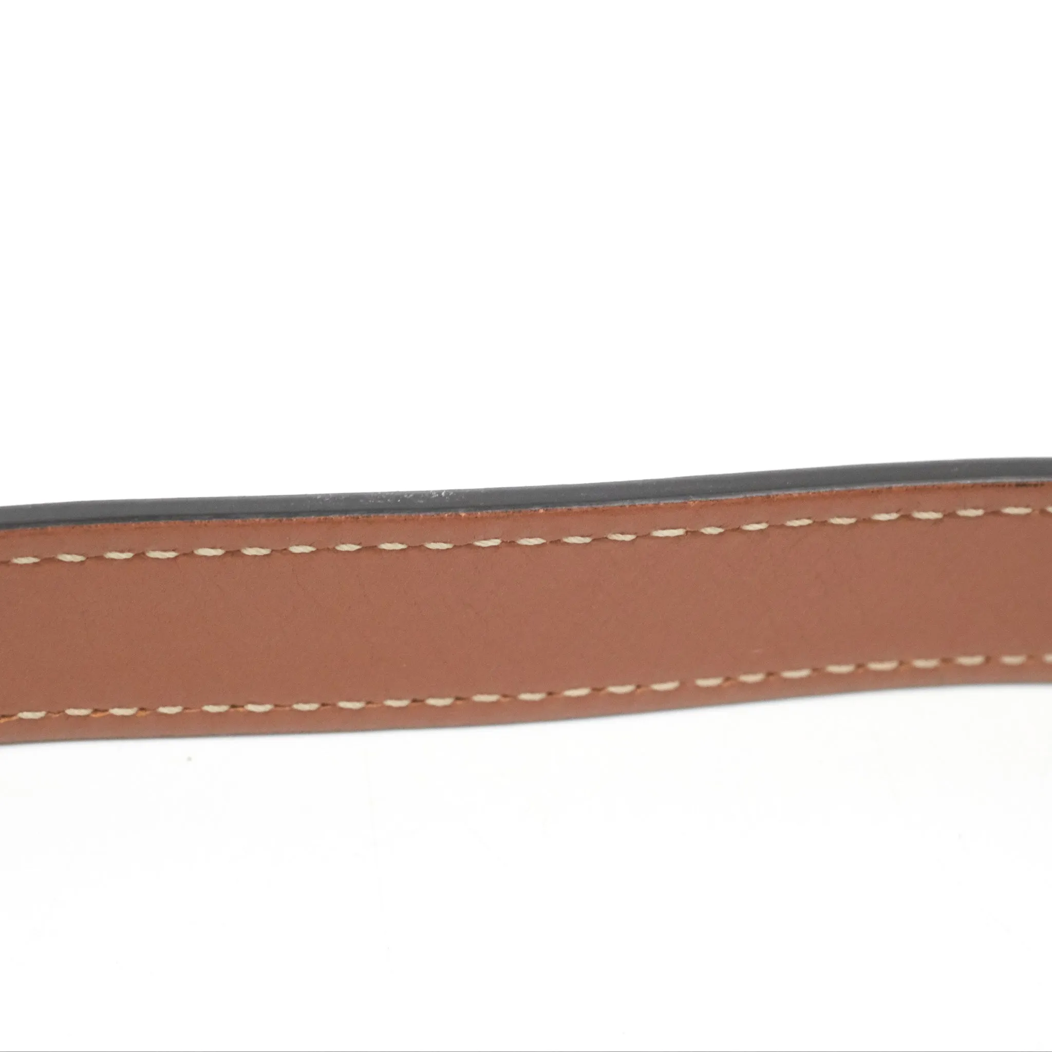 Celine Ava Bag In Triomphe Canvas Calfskin Tan