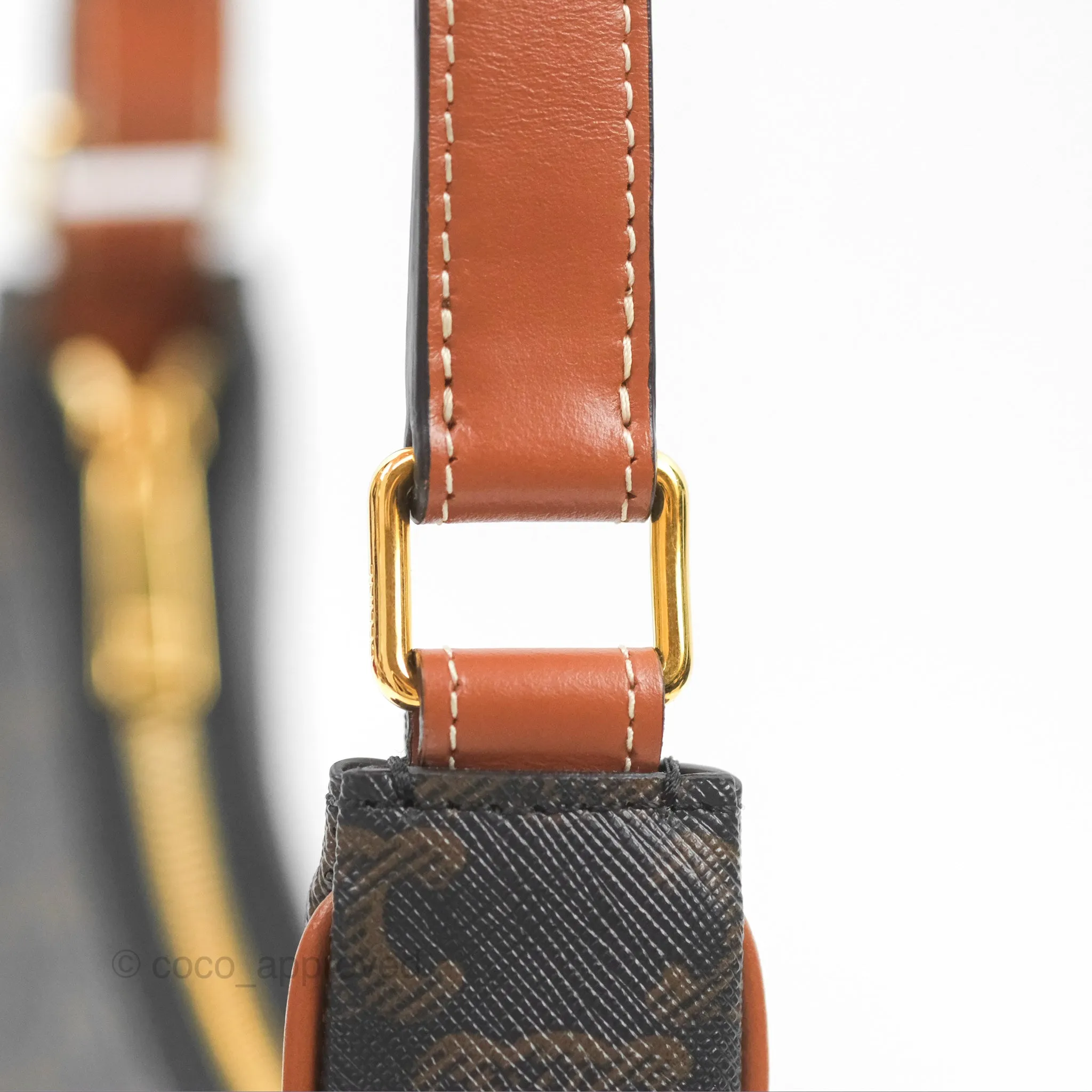 Celine Ava Bag In Triomphe Canvas Calfskin Tan