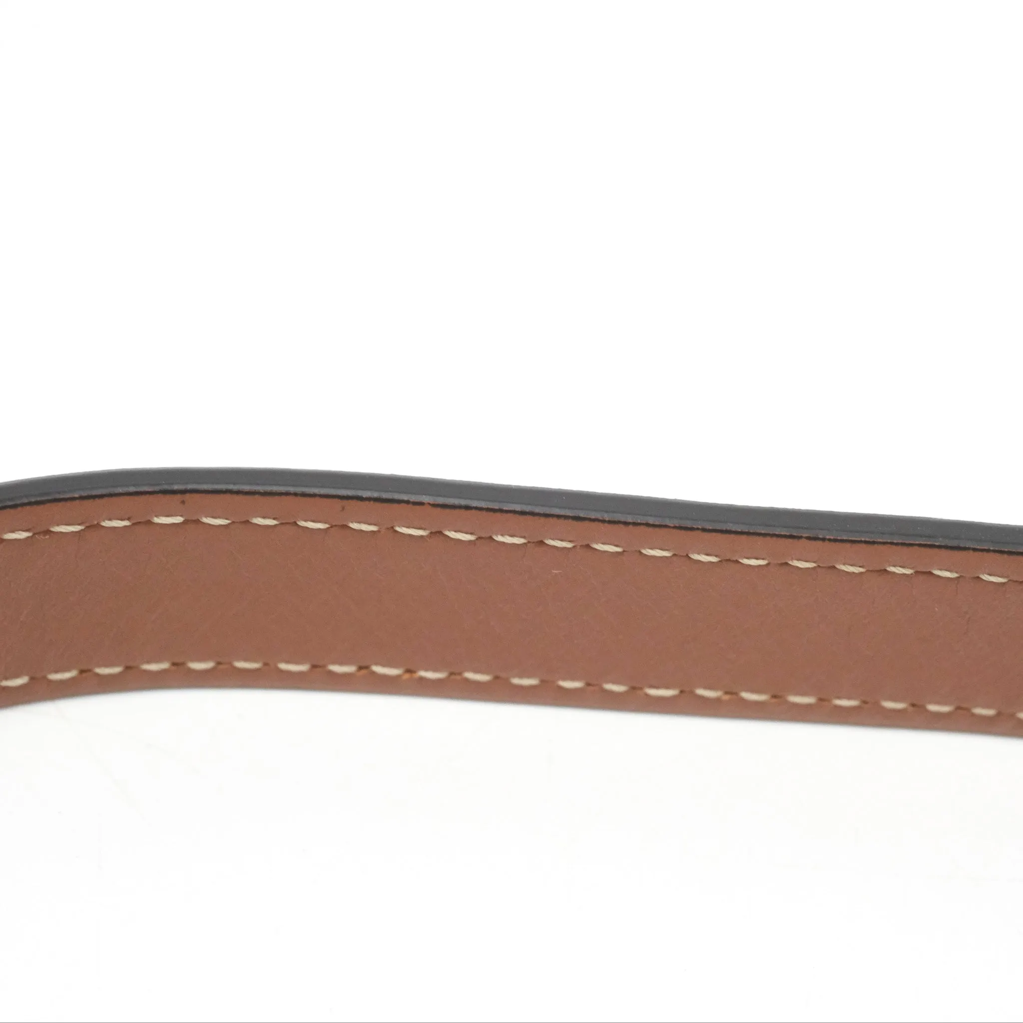 Celine Ava Bag In Triomphe Canvas Calfskin Tan