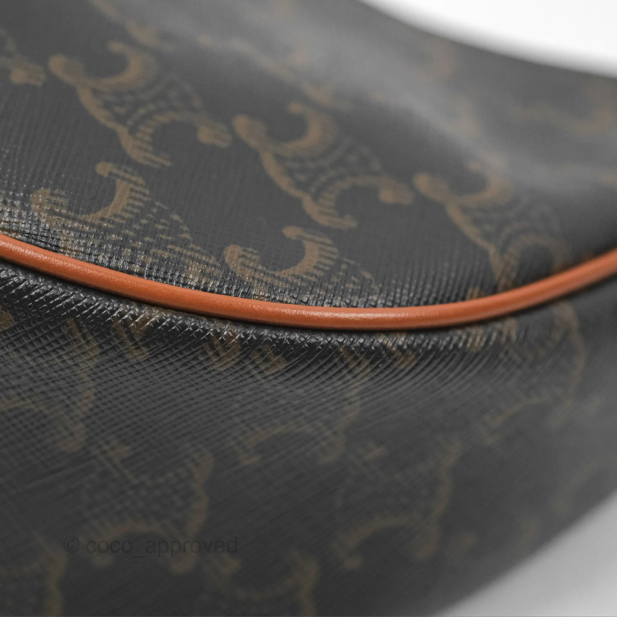 Celine Ava Bag In Triomphe Canvas Calfskin Tan