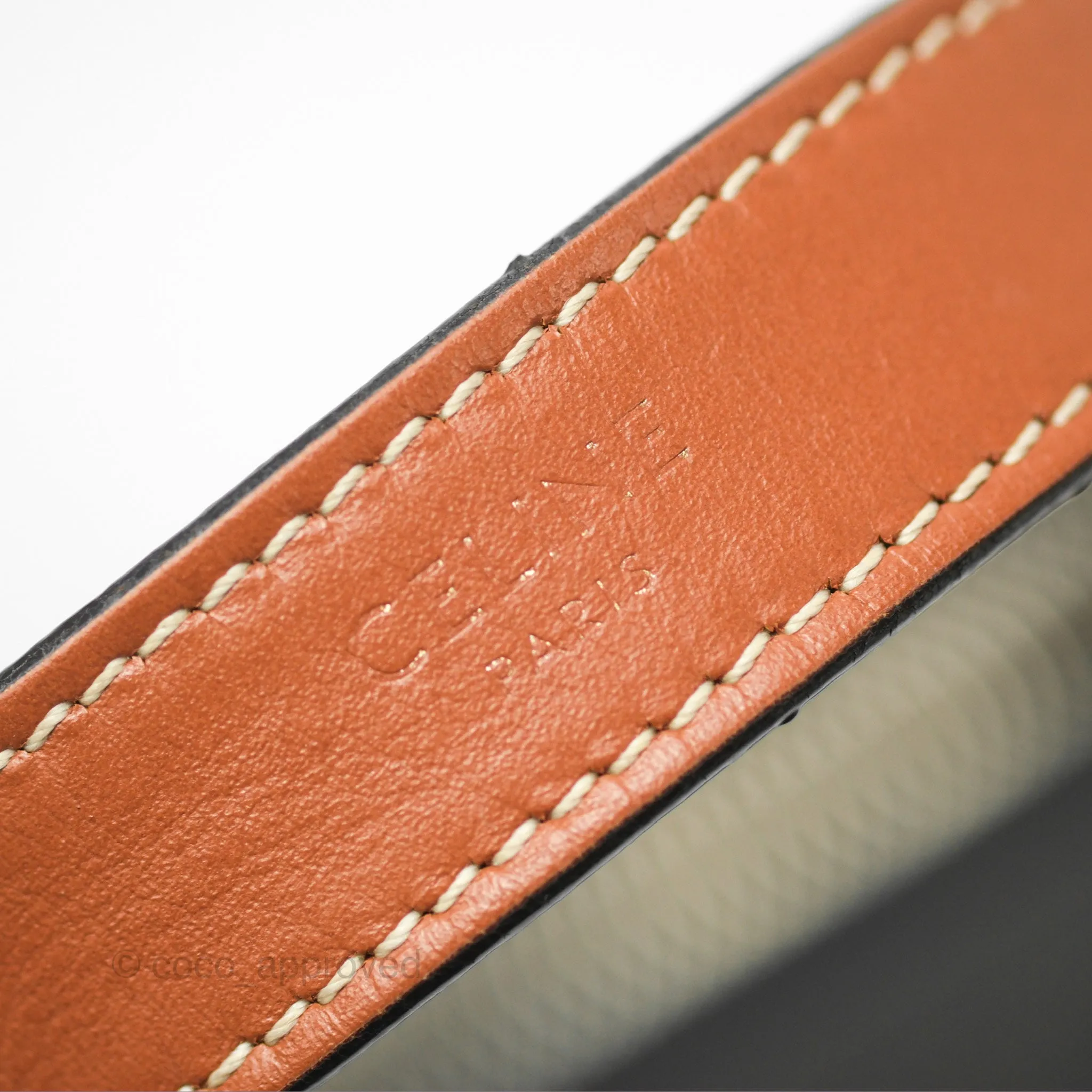 Celine Ava Bag In Triomphe Canvas Calfskin Tan