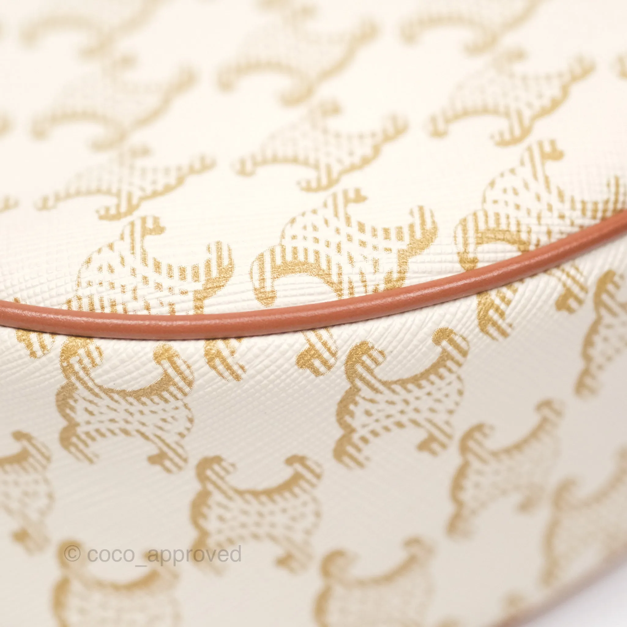 Celine Ava Bag In Triomphe Canvas Calfskin White