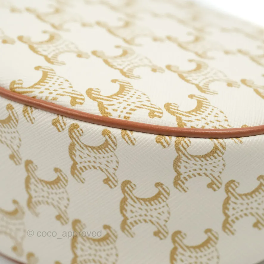 Celine Ava Bag In Triomphe Canvas Calfskin White