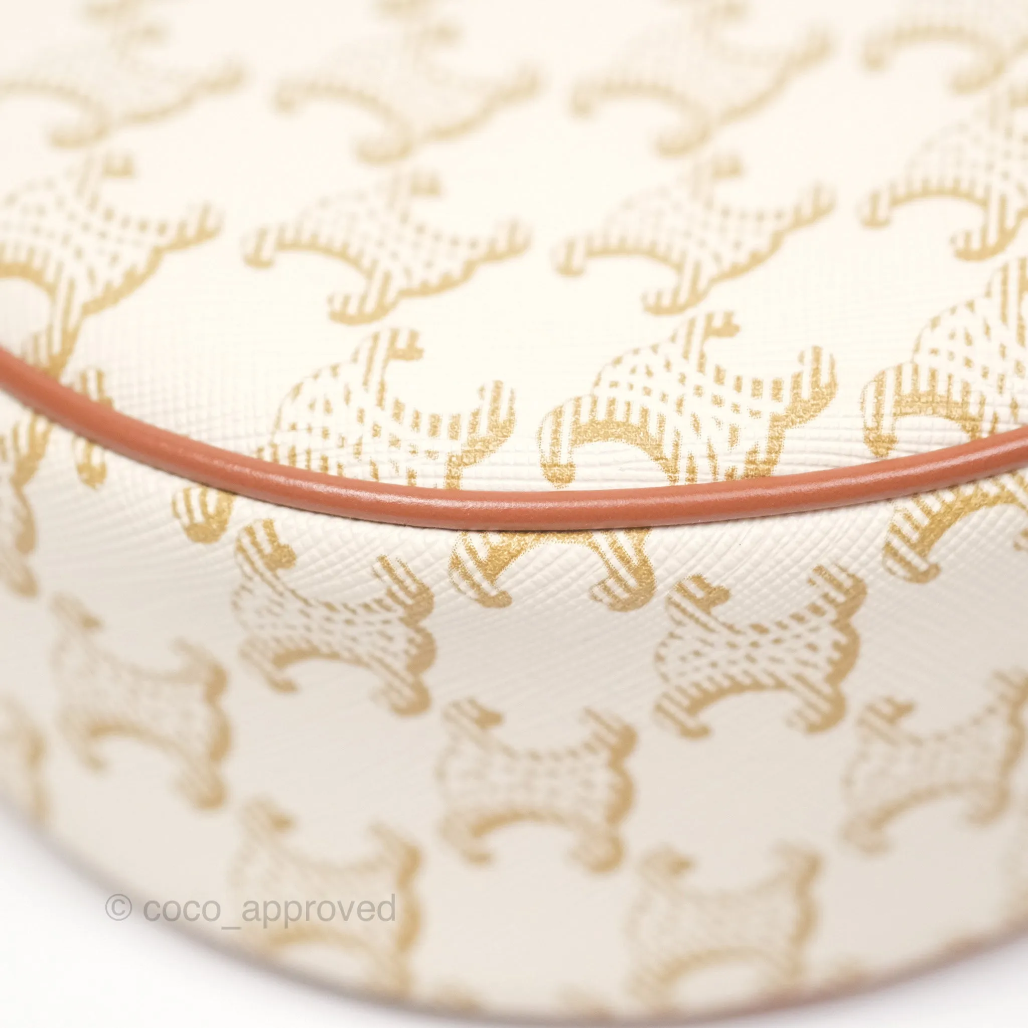 Celine Ava Bag In Triomphe Canvas Calfskin White