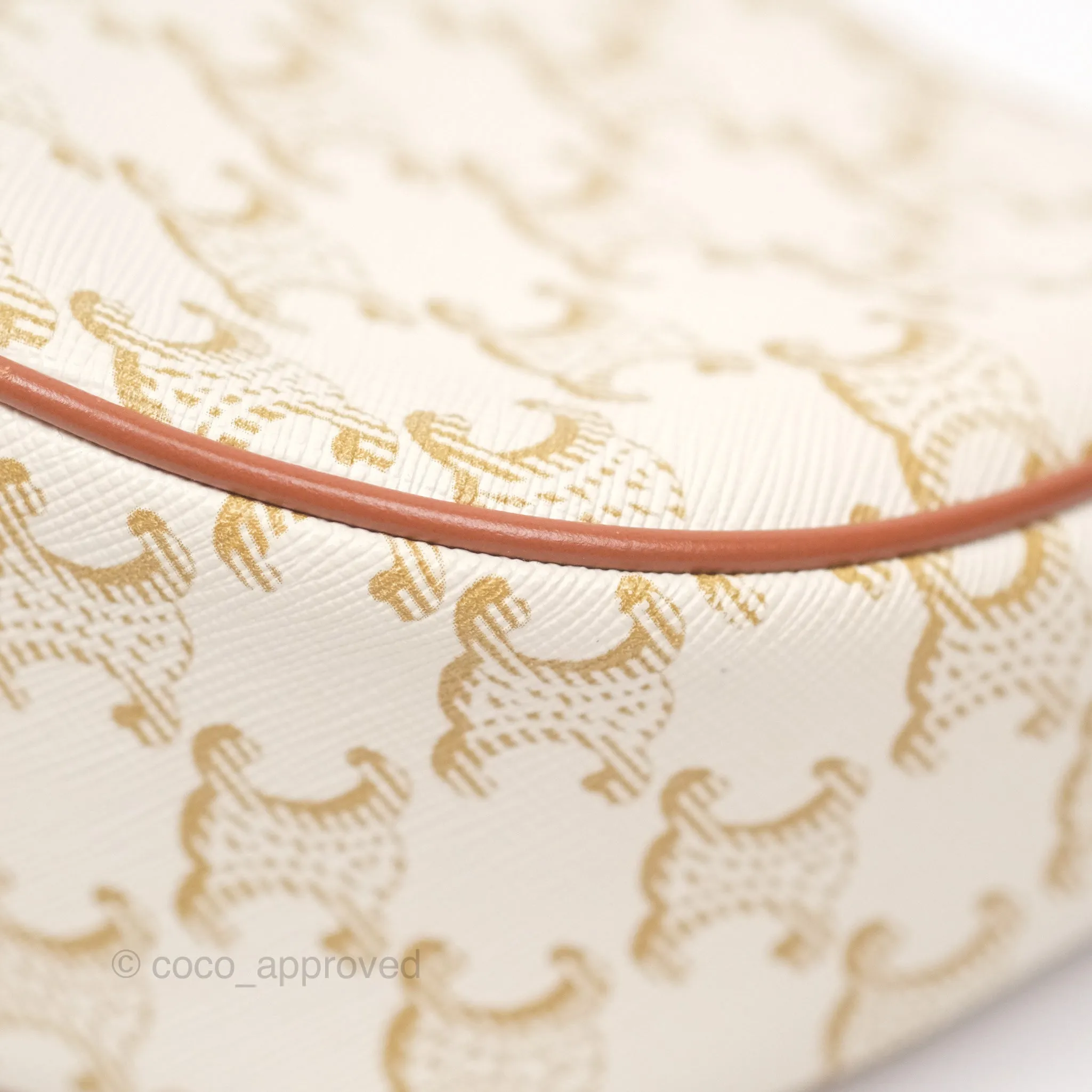 Celine Ava Bag In Triomphe Canvas Calfskin White