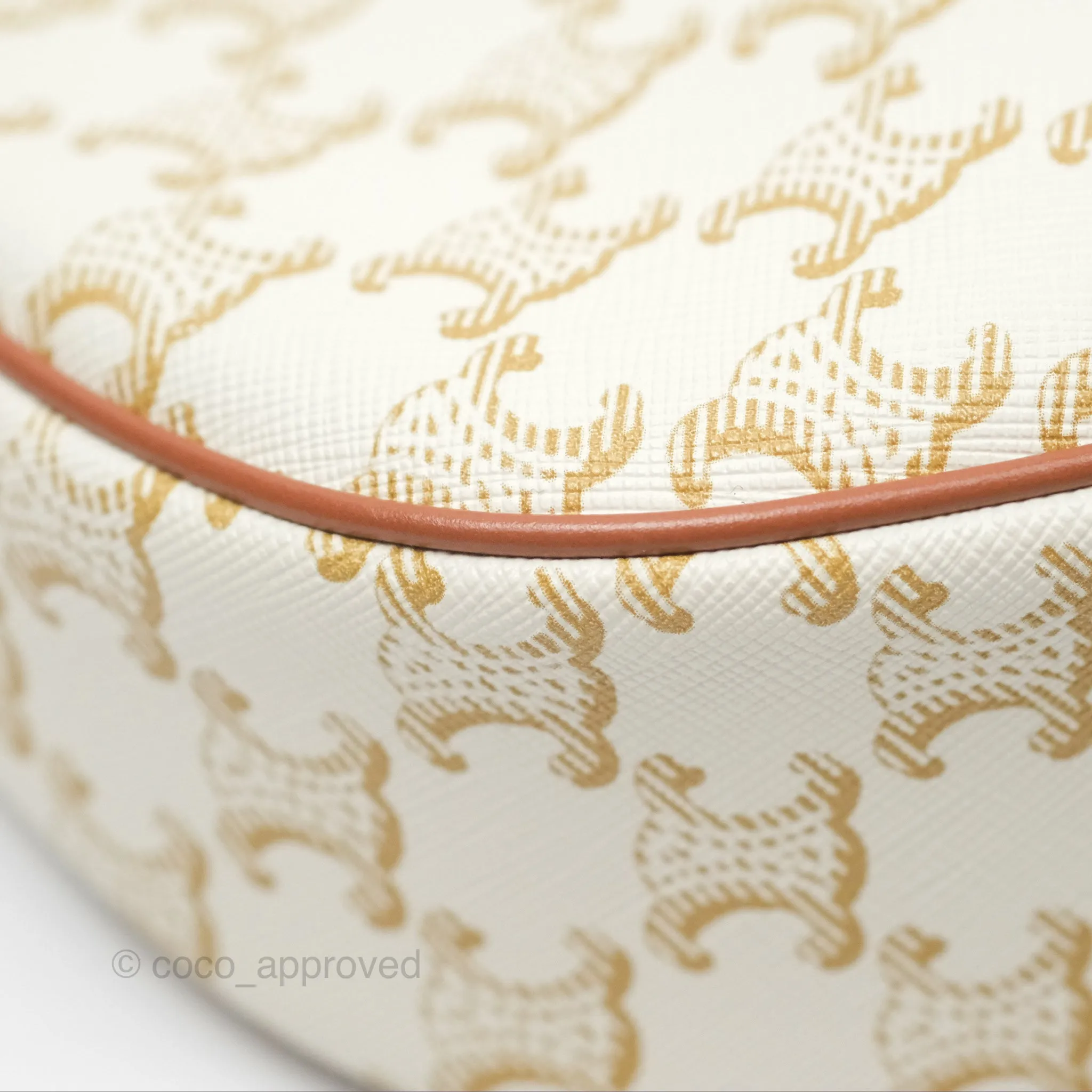 Celine Ava Bag In Triomphe Canvas Calfskin White