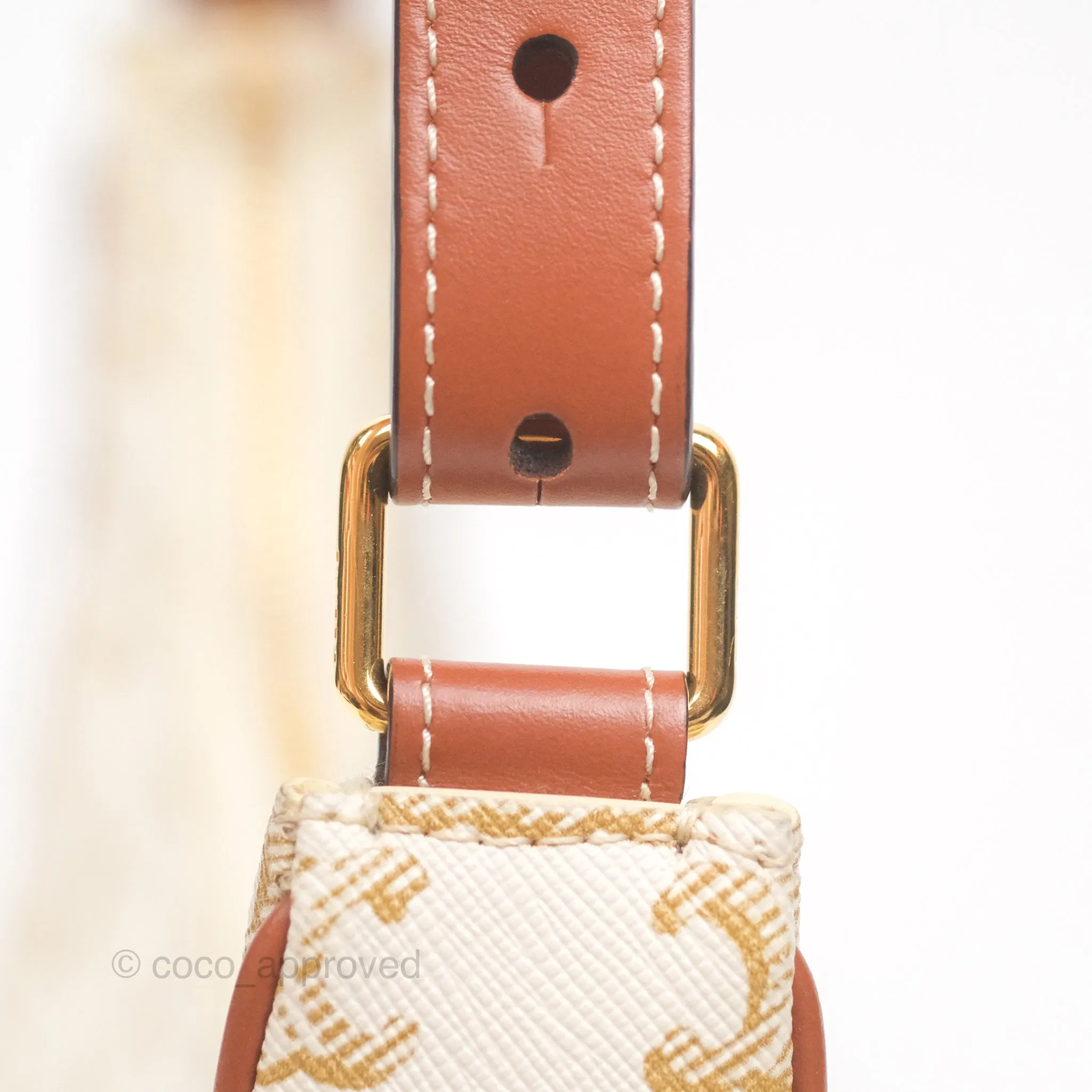 Celine Ava Bag In Triomphe Canvas Calfskin White