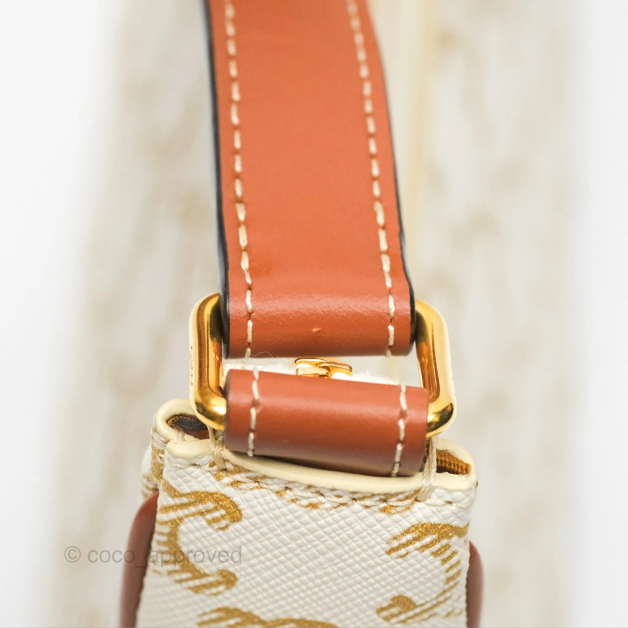 Celine Ava Bag In Triomphe Canvas Calfskin White