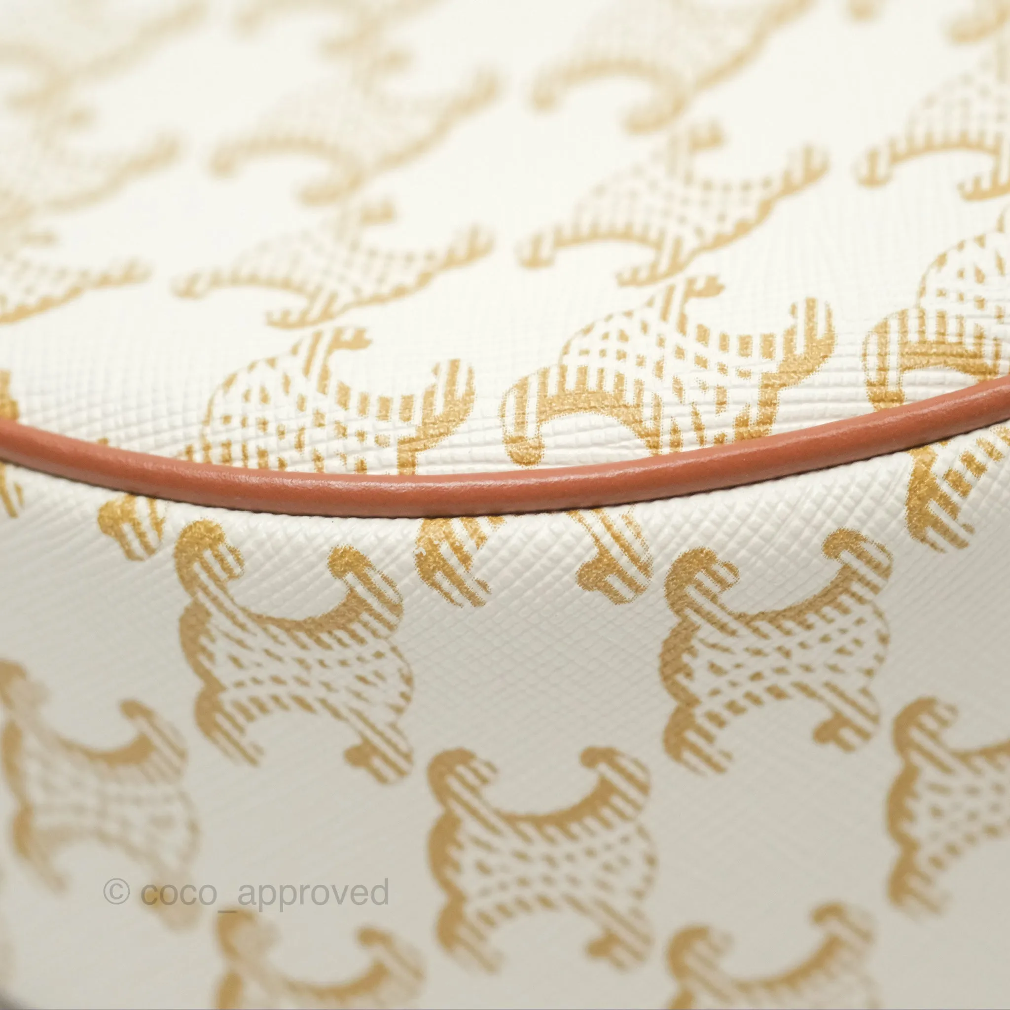 Celine Ava Bag In Triomphe Canvas Calfskin White