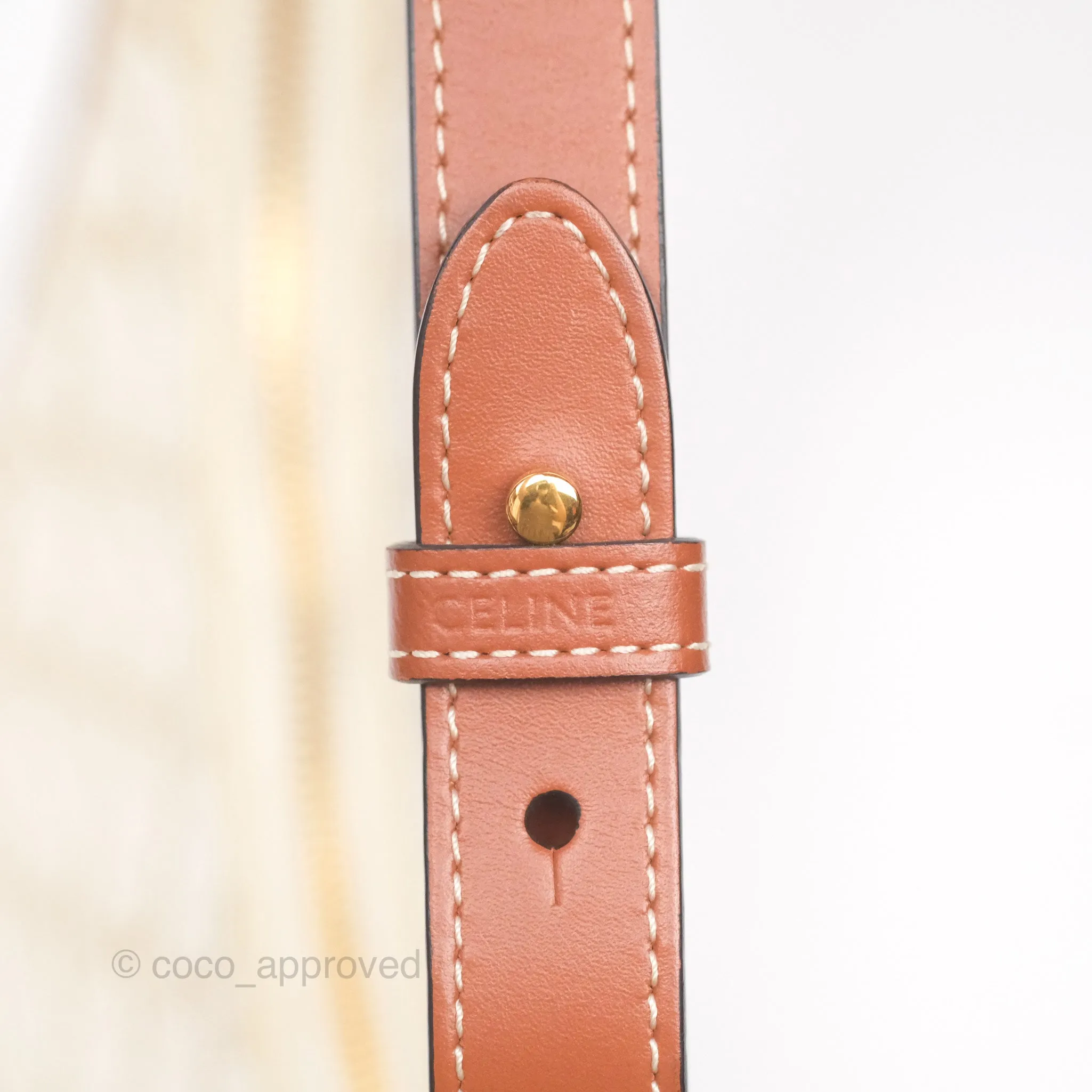 Celine Ava Bag In Triomphe Canvas Calfskin White