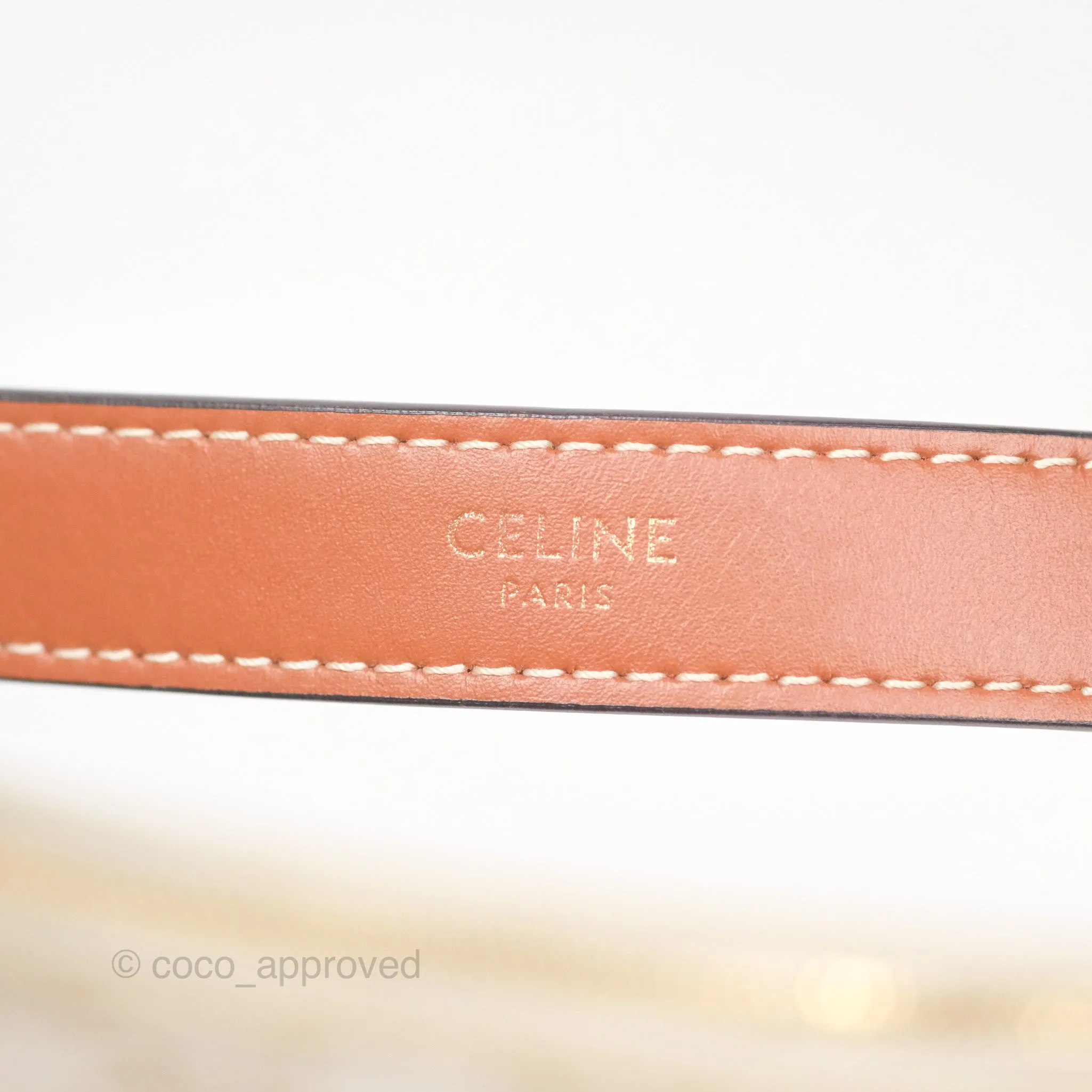 Celine Ava Bag In Triomphe Canvas Calfskin White