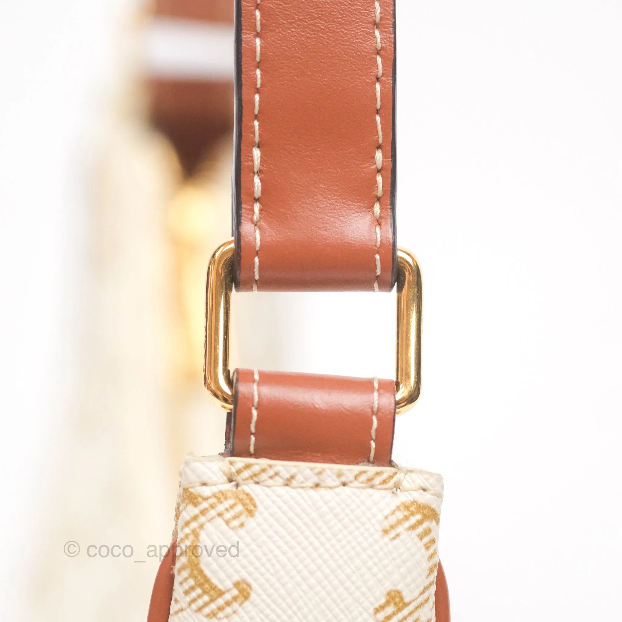 Celine Ava Bag In Triomphe Canvas Calfskin White
