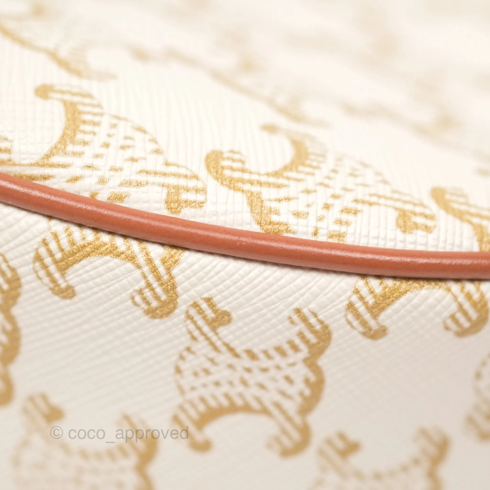 Celine Ava Bag In Triomphe Canvas Calfskin White