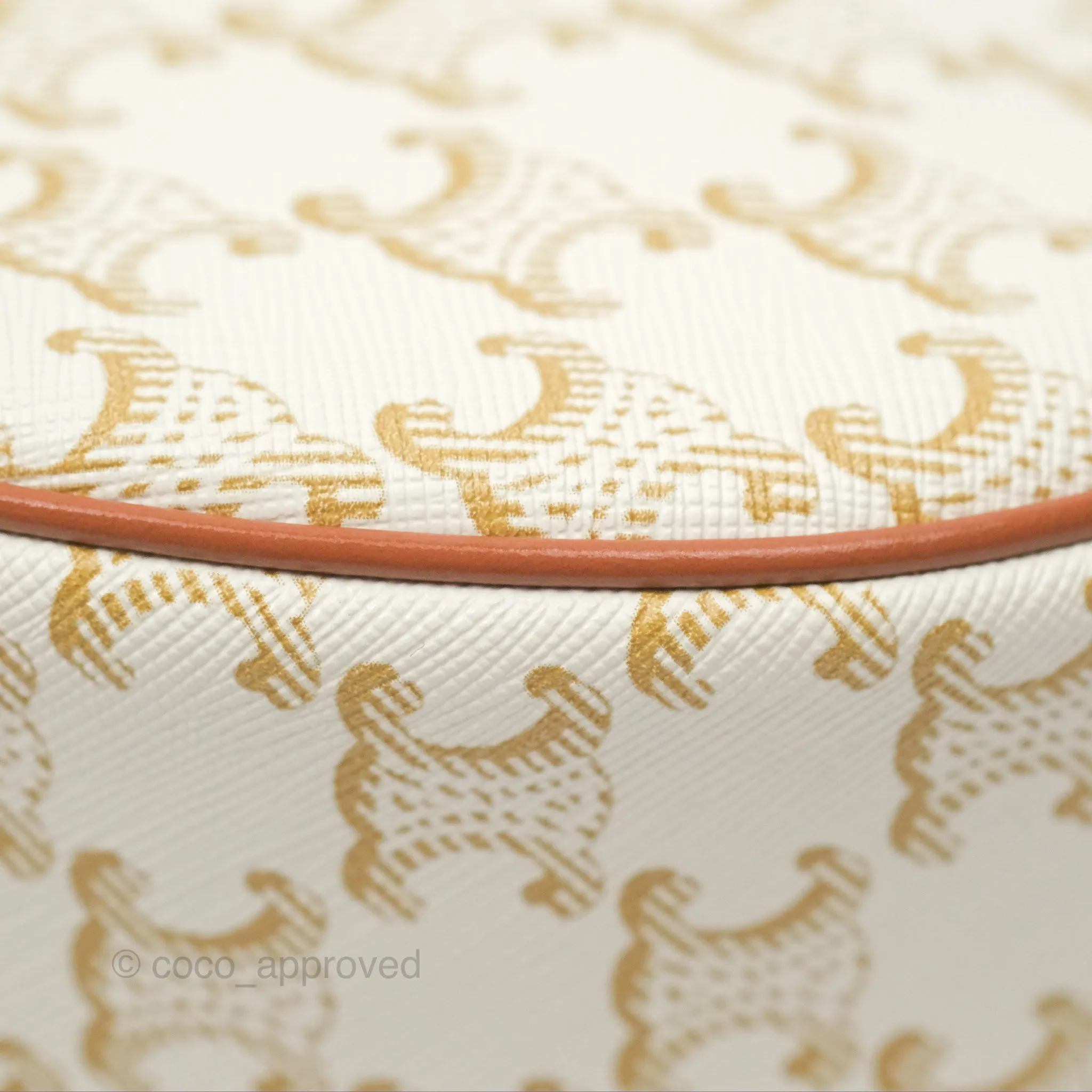 Celine Ava Bag In Triomphe Canvas Calfskin White