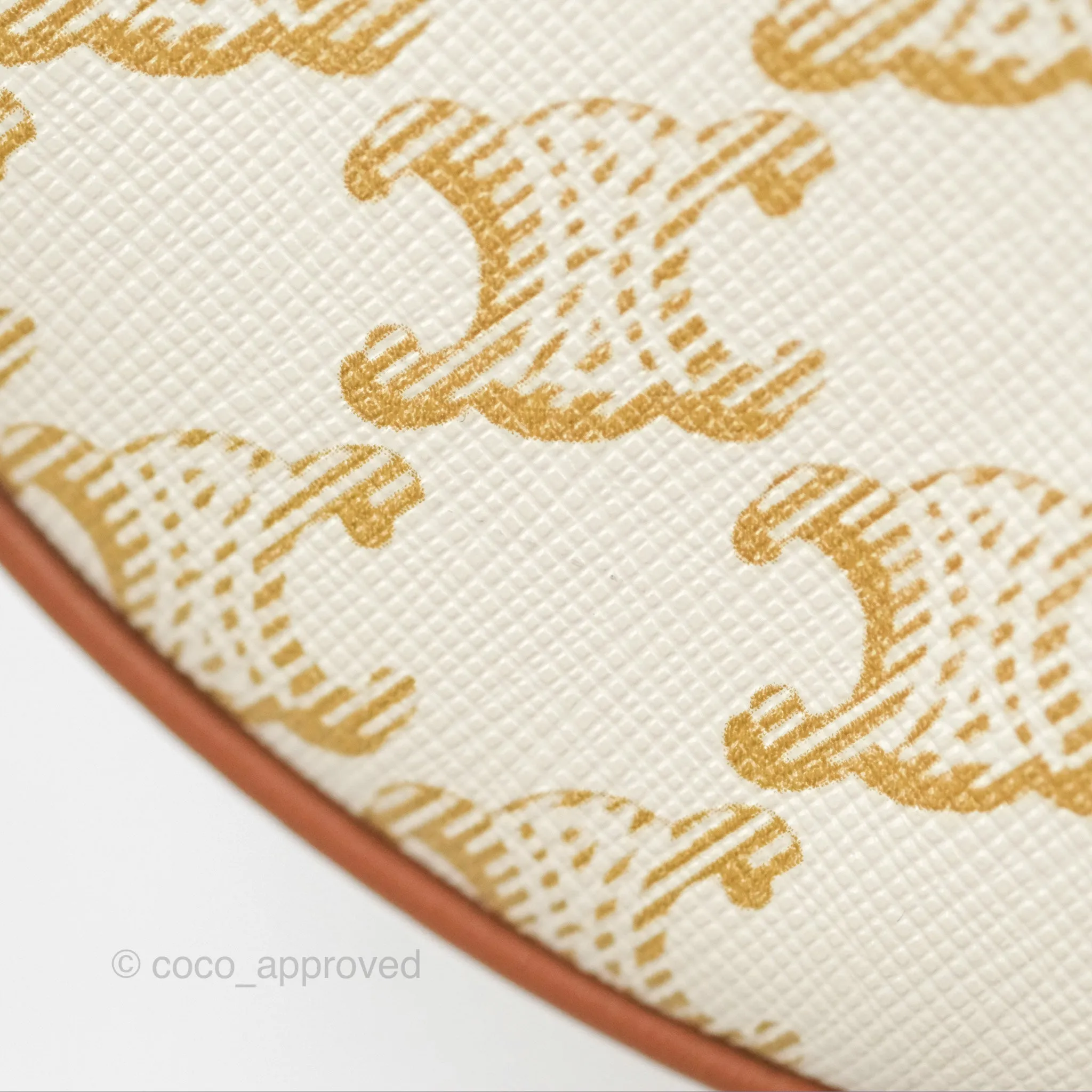 Celine Ava Bag In Triomphe Canvas Calfskin White