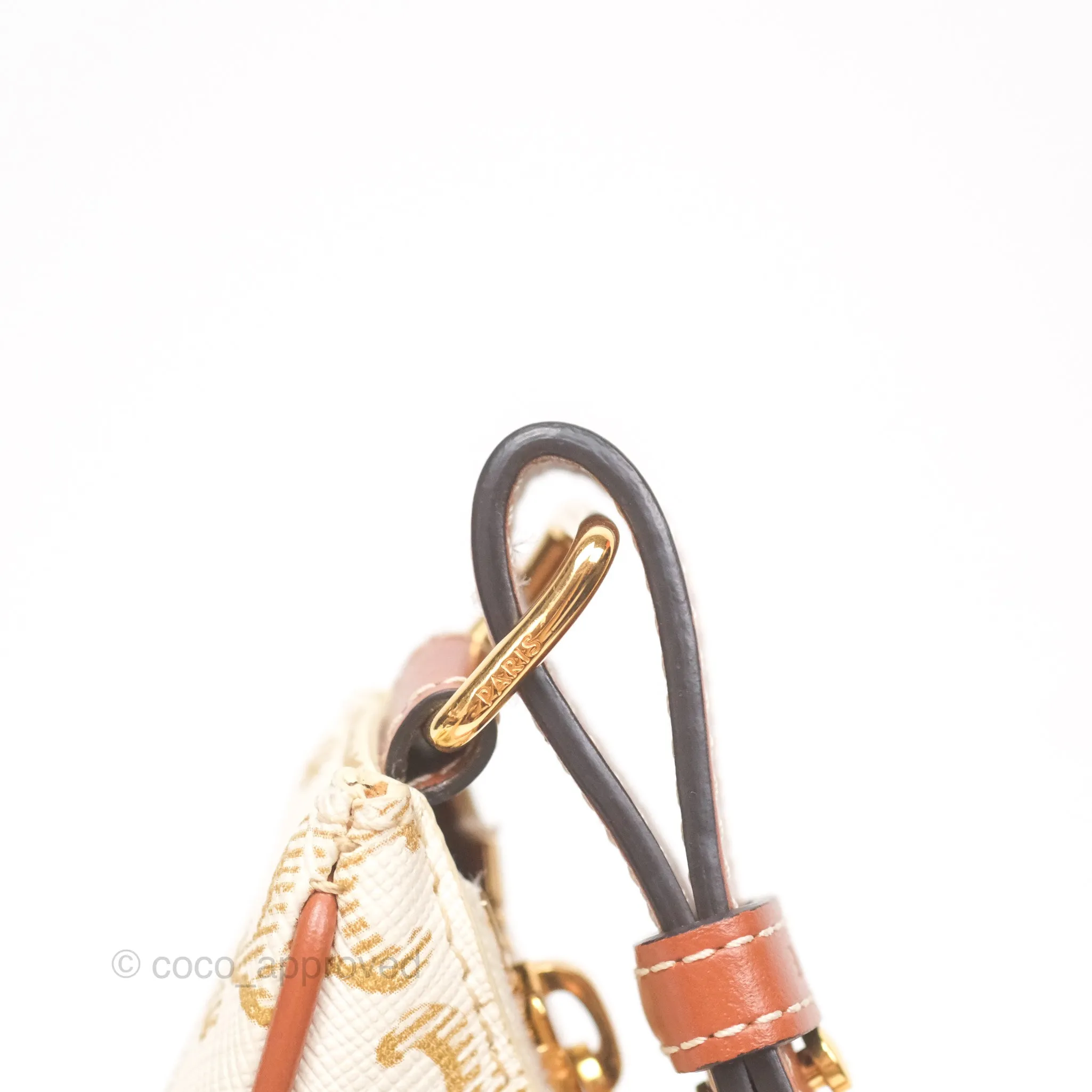 Celine Ava Bag In Triomphe Canvas Calfskin White