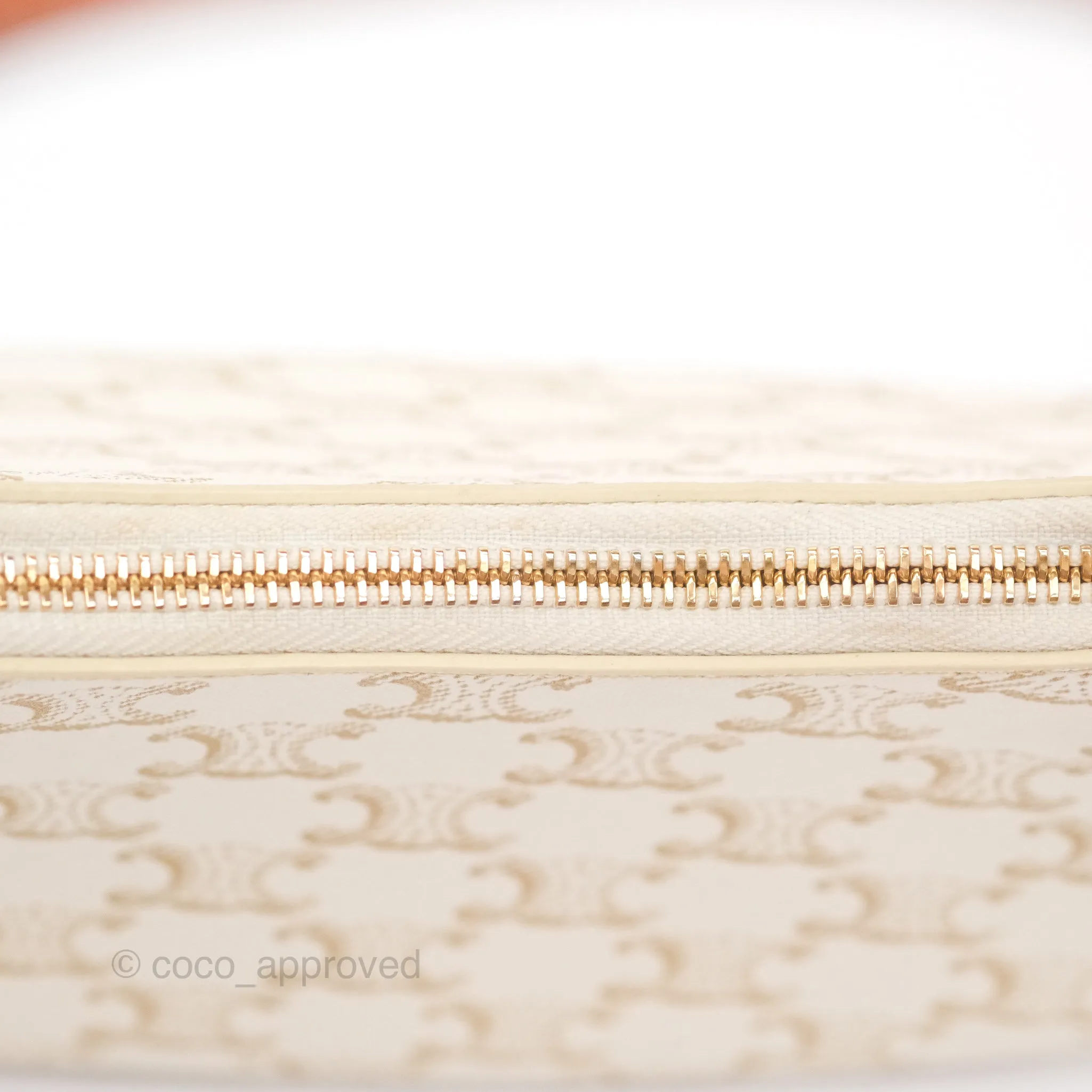 Celine Ava Bag In Triomphe Canvas Calfskin White