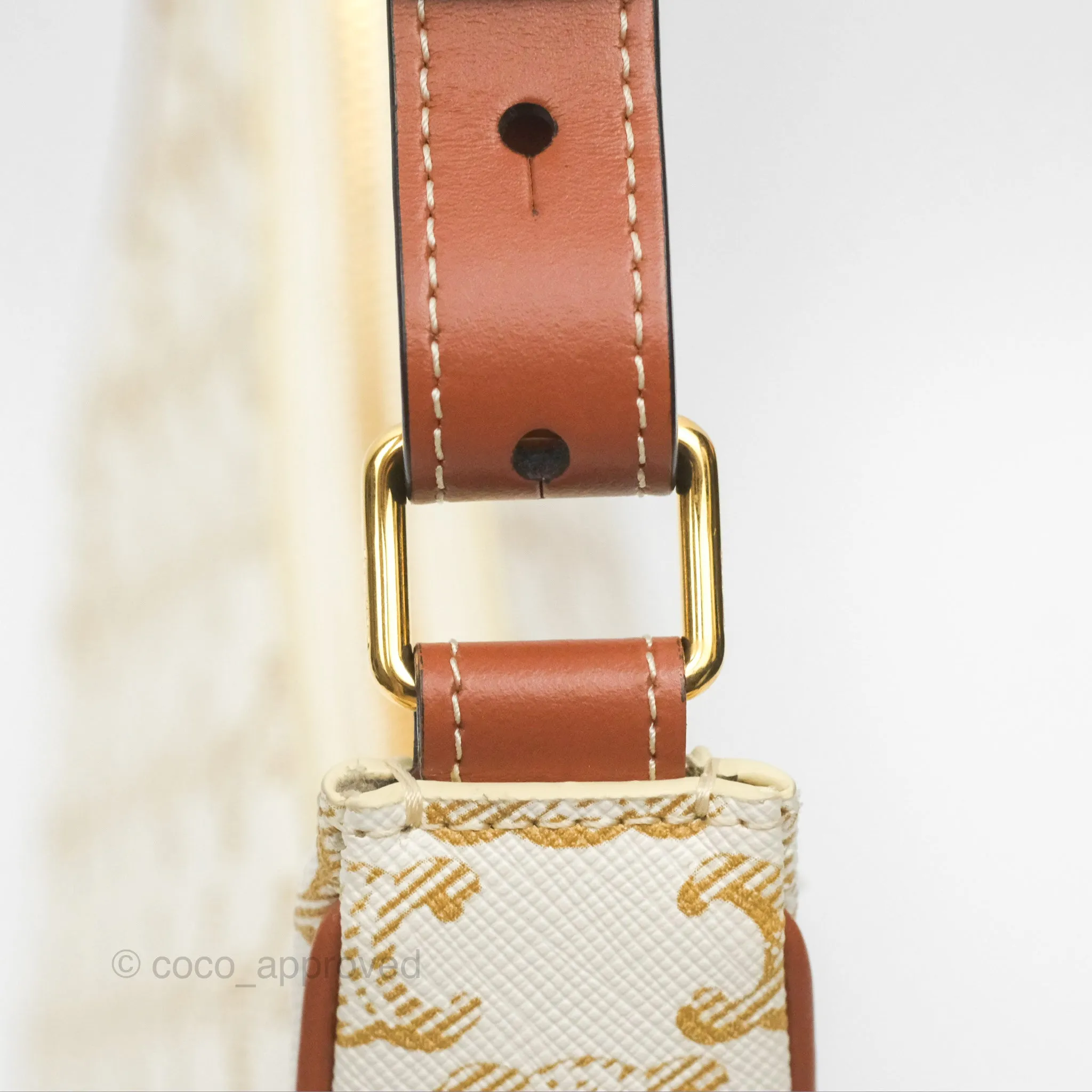 Celine Ava Bag In Triomphe Canvas Calfskin White