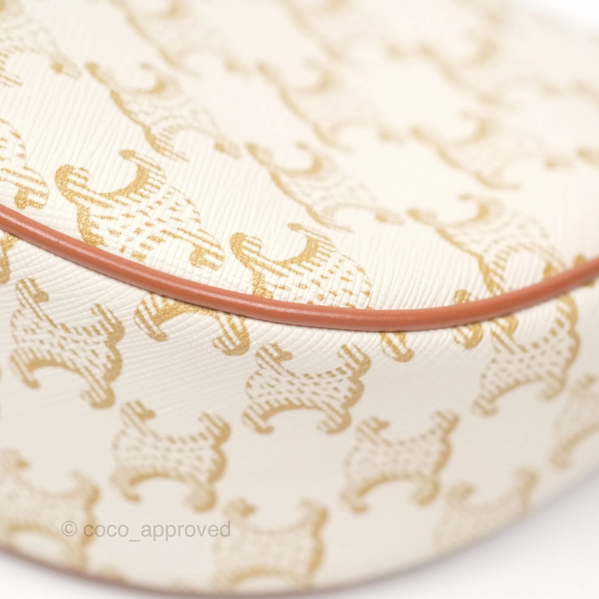 Celine Ava Bag In Triomphe Canvas Calfskin White