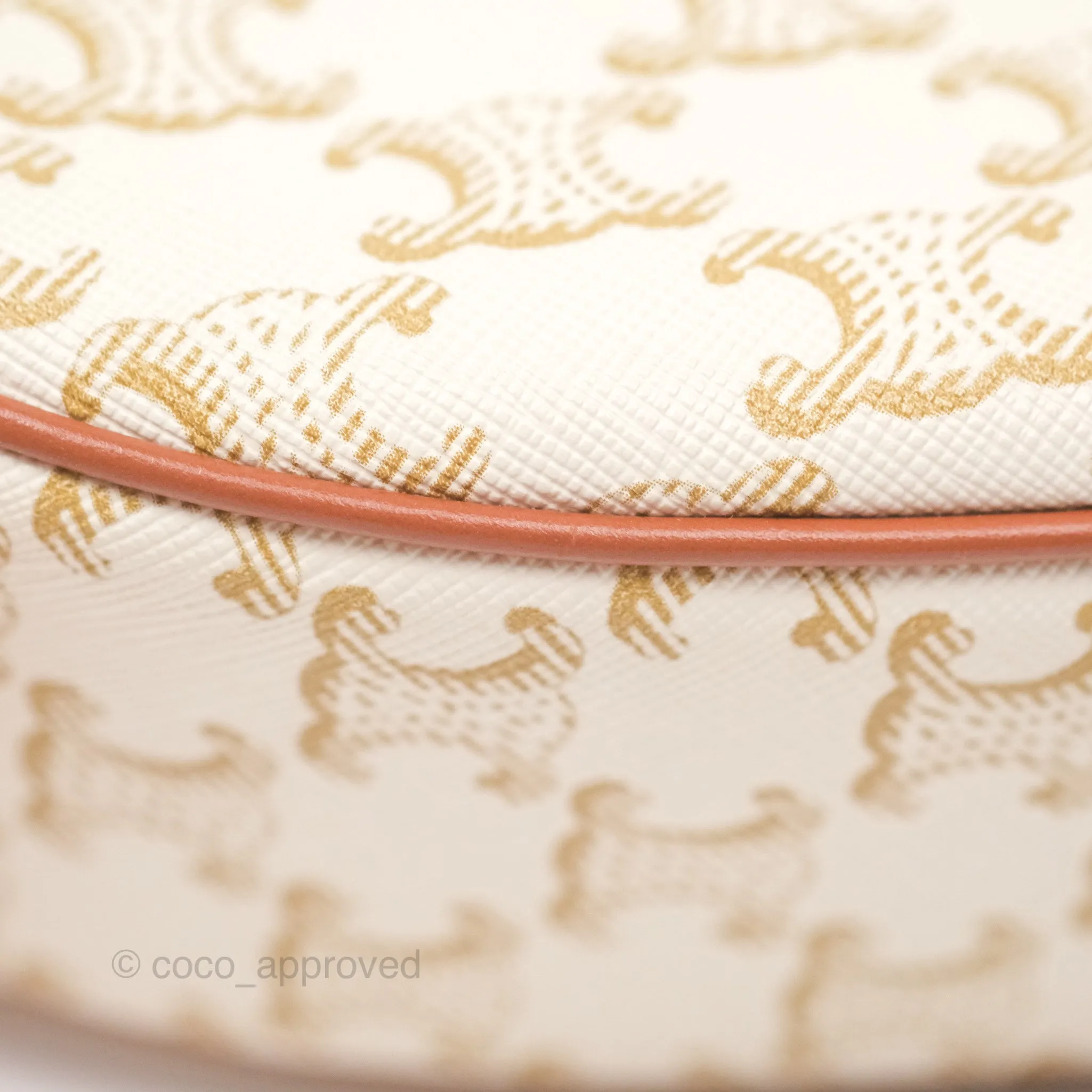 Celine Ava Bag In Triomphe Canvas Calfskin White