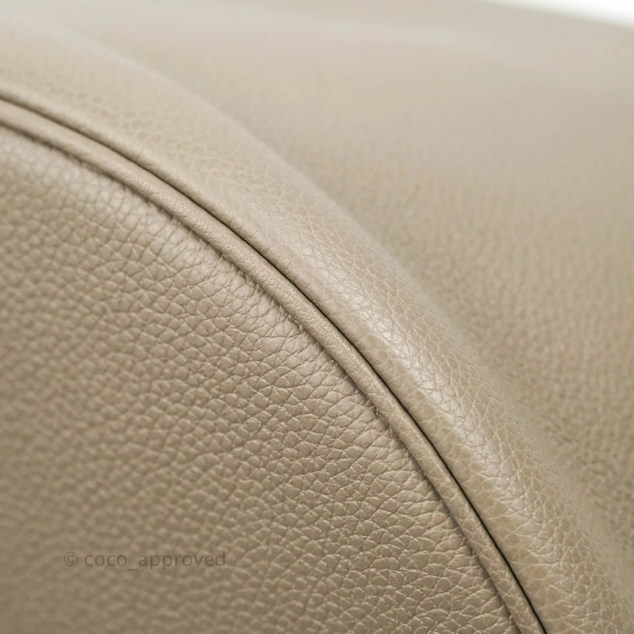 Celine Bucket 16 Bag in Supple Grained Calfskin Pebble Gold Hardware