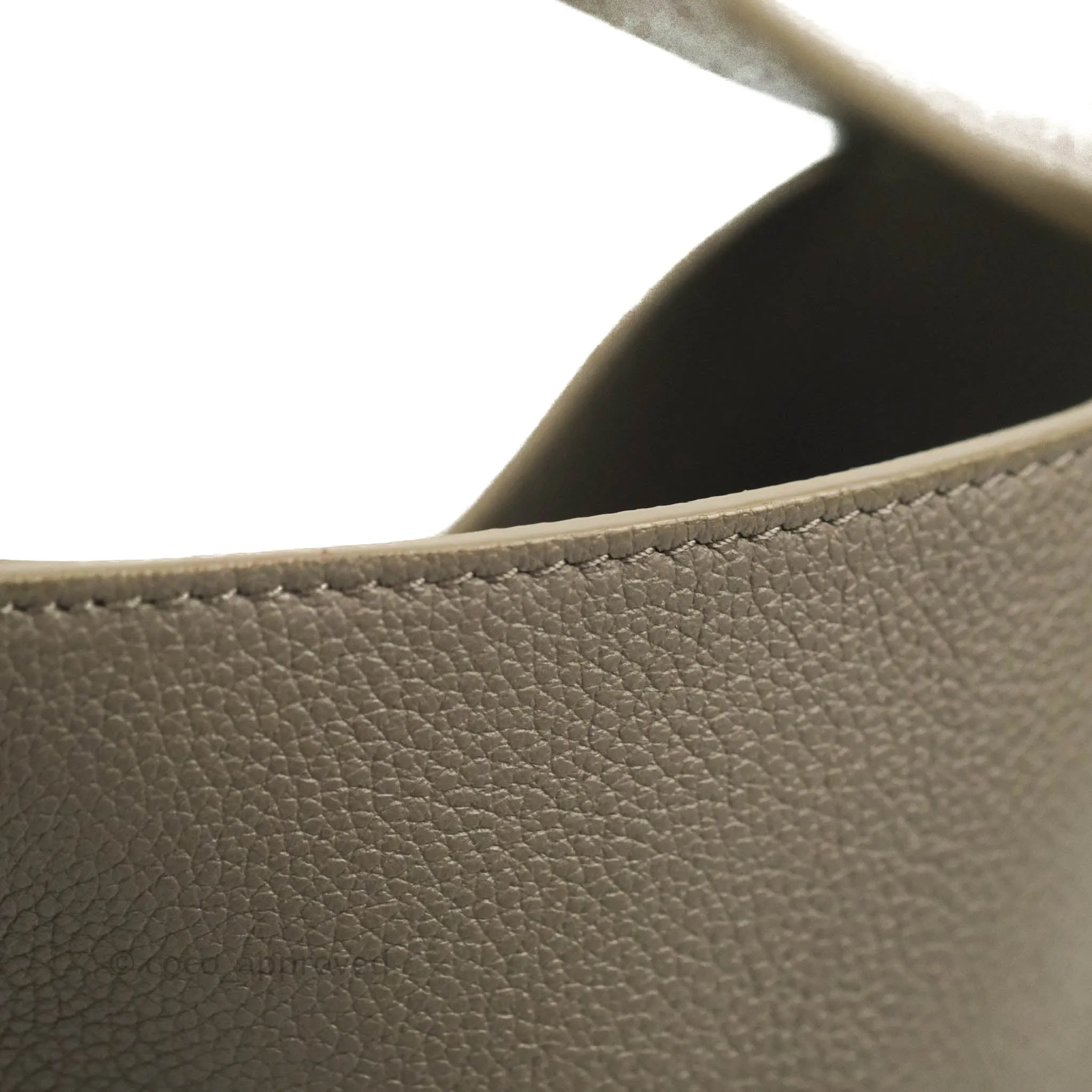 Celine Bucket 16 Bag in Supple Grained Calfskin Pebble Gold Hardware