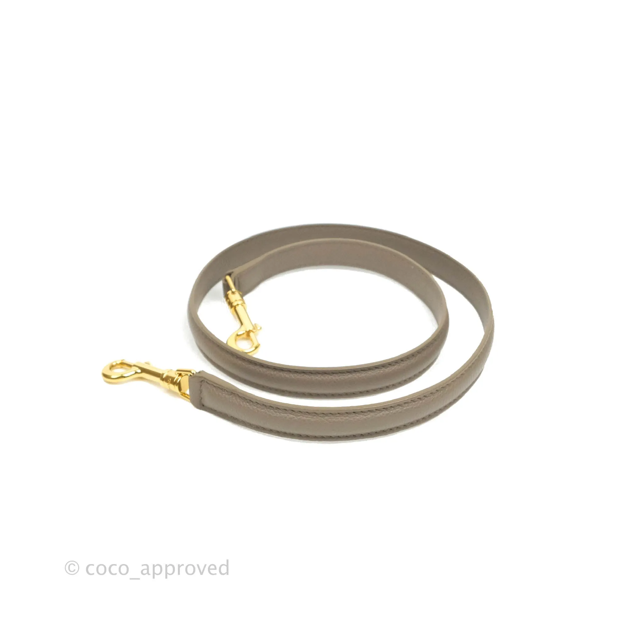 Celine Bucket 16 Bag in Supple Grained Calfskin Pebble Gold Hardware
