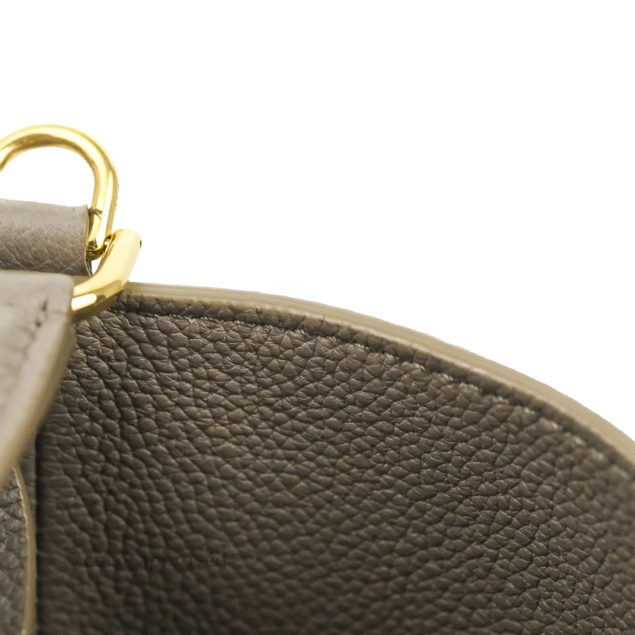 Celine Bucket 16 Bag in Supple Grained Calfskin Pebble Gold Hardware