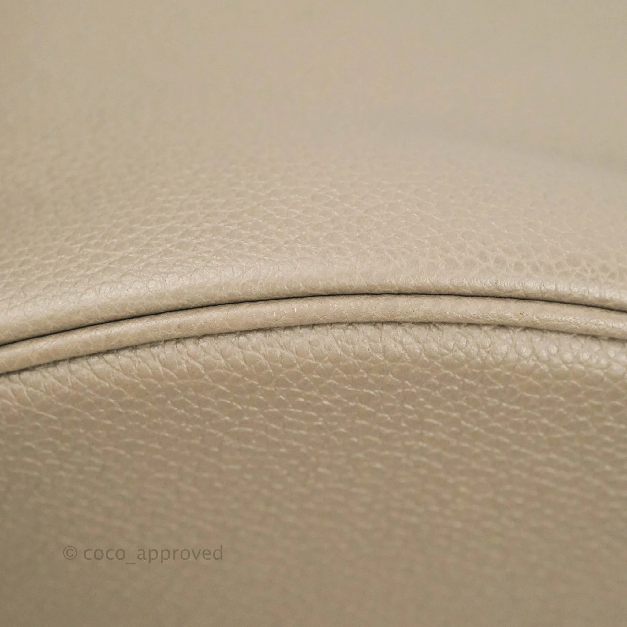 Celine Bucket 16 Bag in Supple Grained Calfskin Pebble Gold Hardware