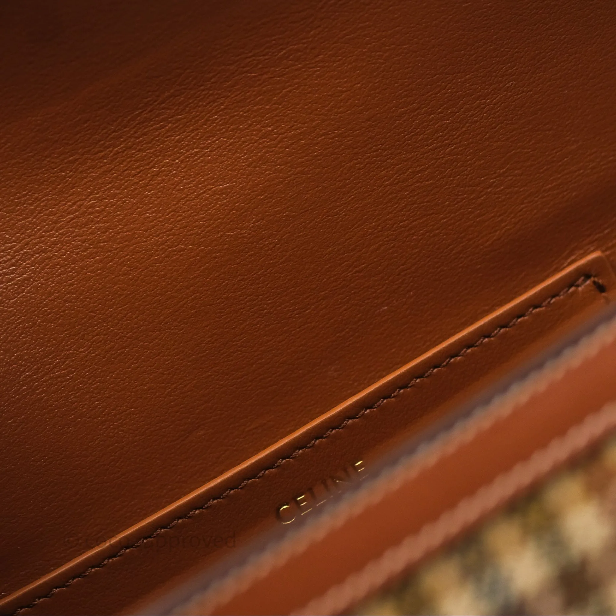 Celine Clutch on Strap in Tartan Textile and Natural Calfskin