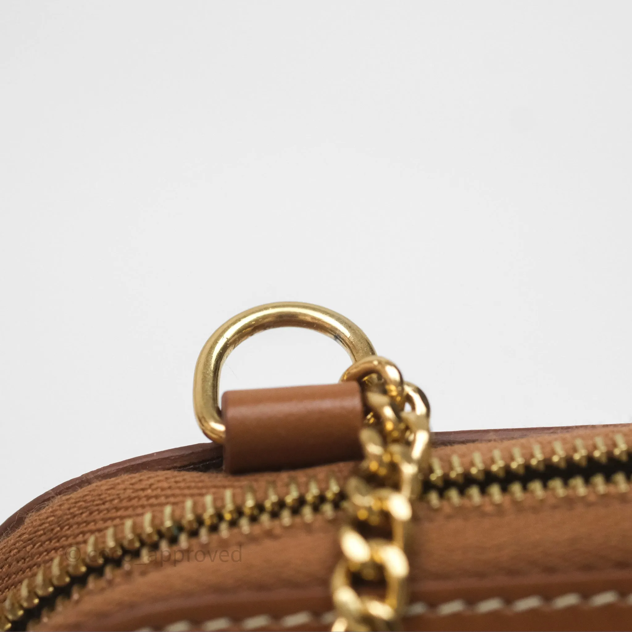 Celine Clutch With Chain in Triomphe Embroideries Red/ Ecru