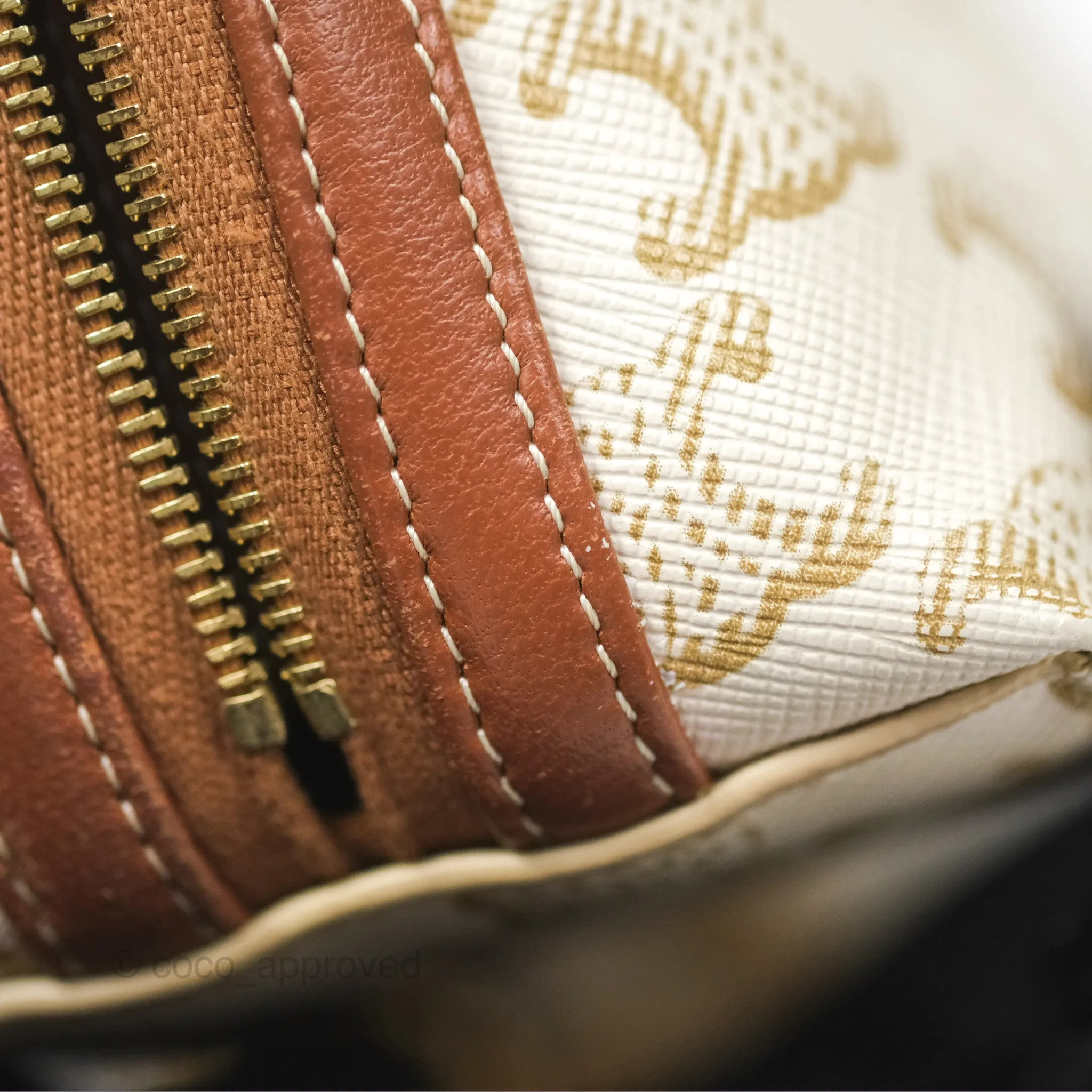 Celine Clutch With Chain Triomphe Canvas Lambskin White/Tan