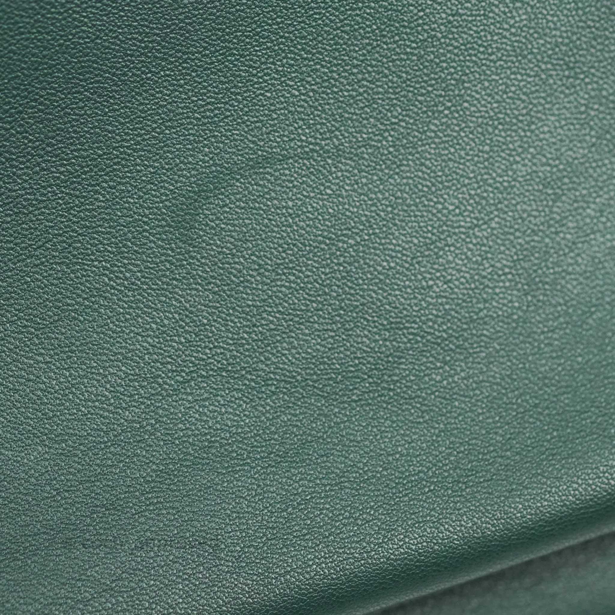 Celine Large Trio Crossbody Bag Dark Green Lambskin Gold Hardware