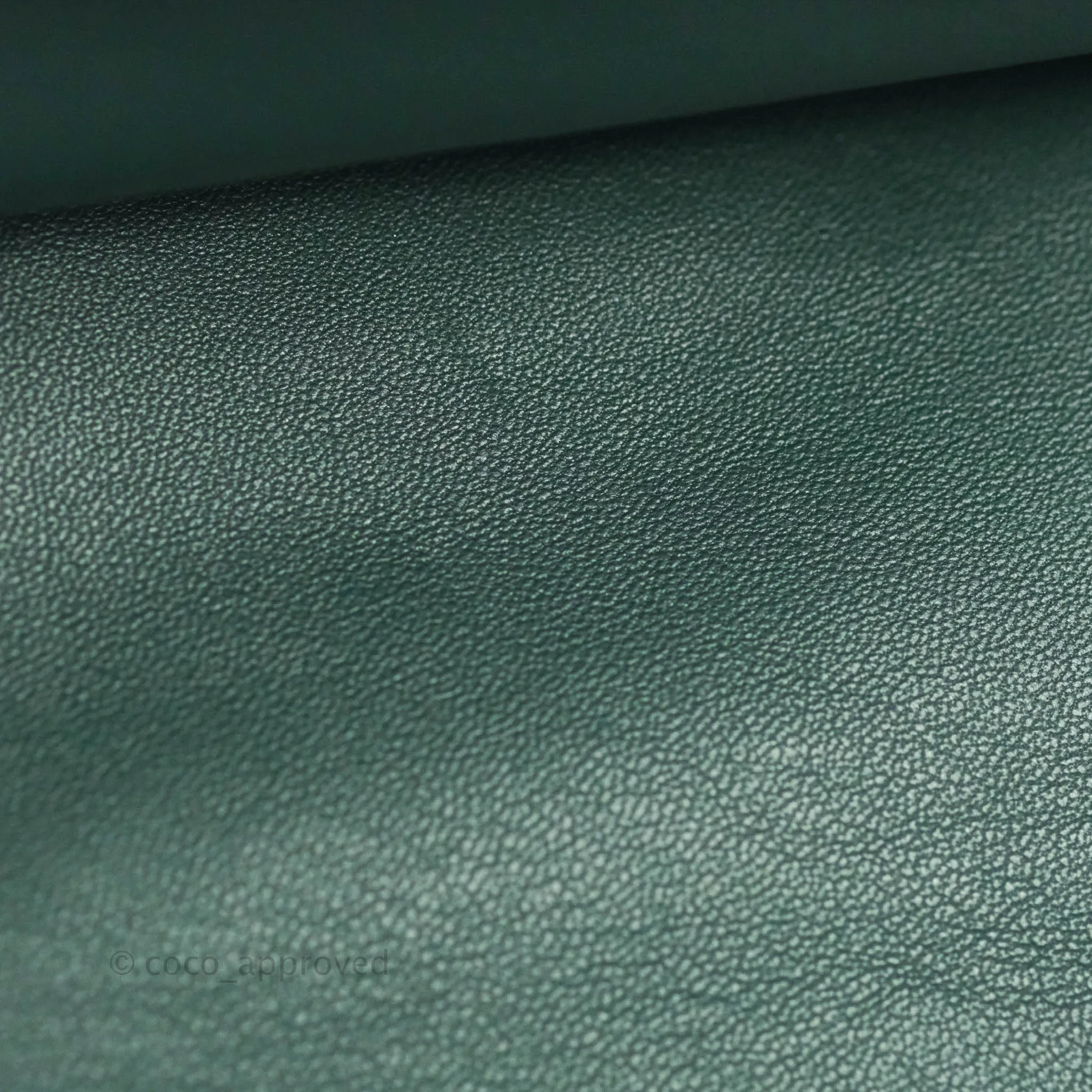 Celine Large Trio Crossbody Bag Dark Green Lambskin Gold Hardware