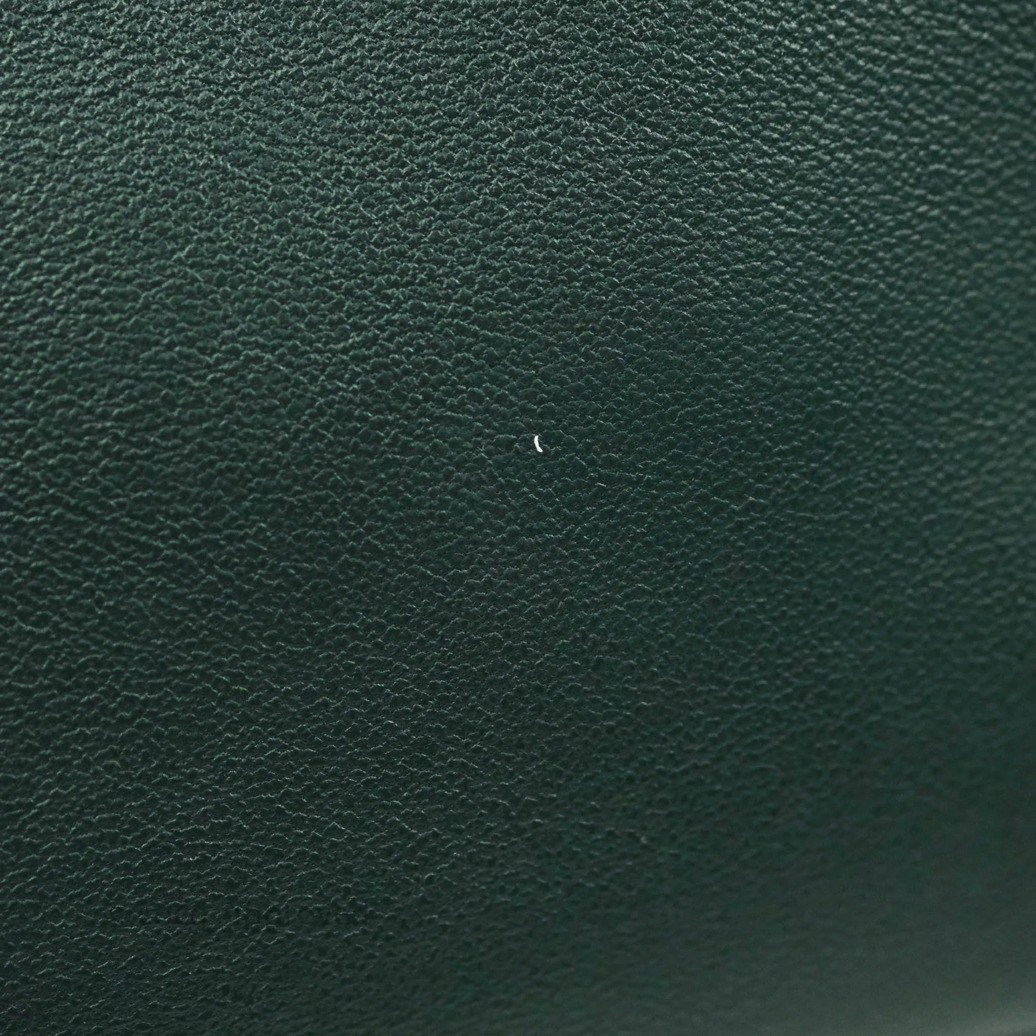 Celine Large Trio Crossbody Bag Dark Green Lambskin Gold Hardware