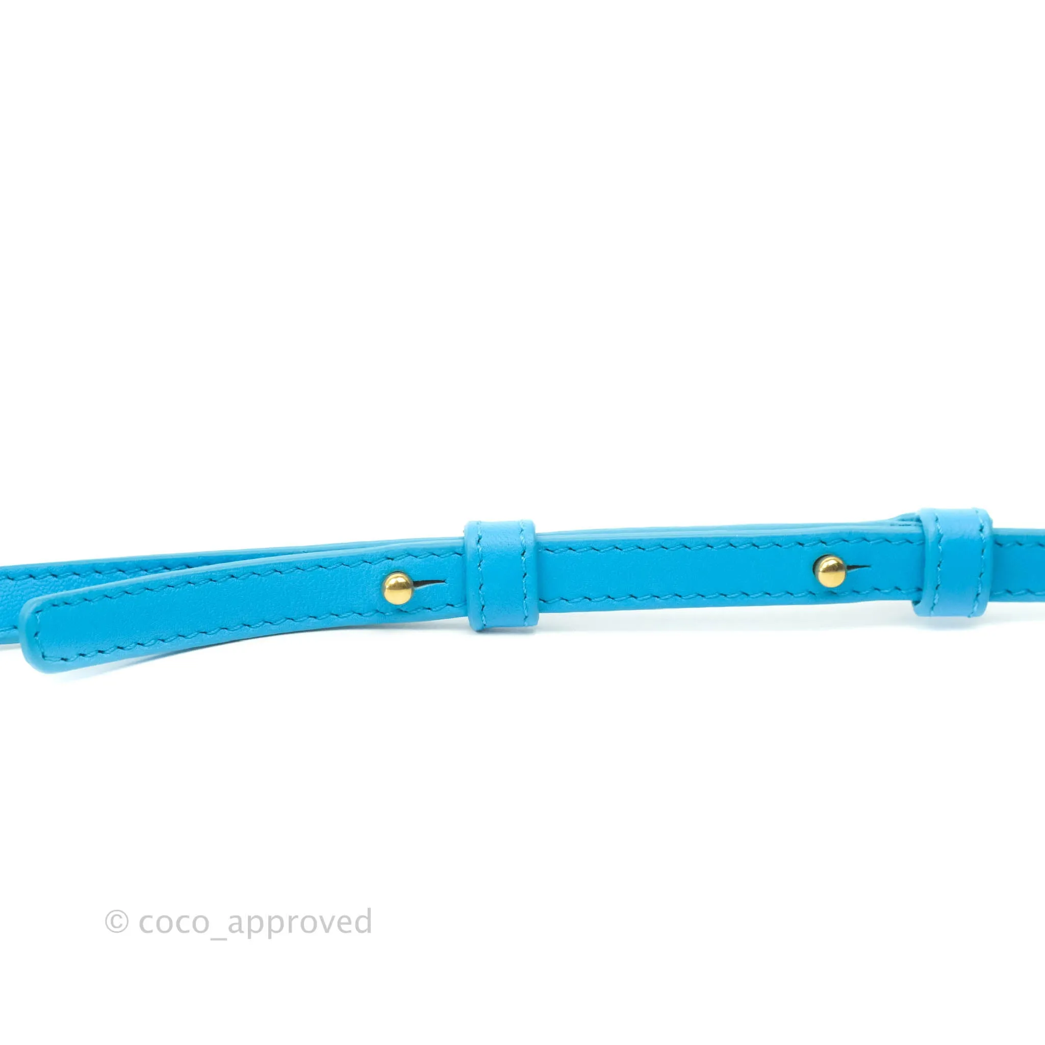 Celine Large Trio Crossbody Bag Sky Blue Lambskin Gold Hardware